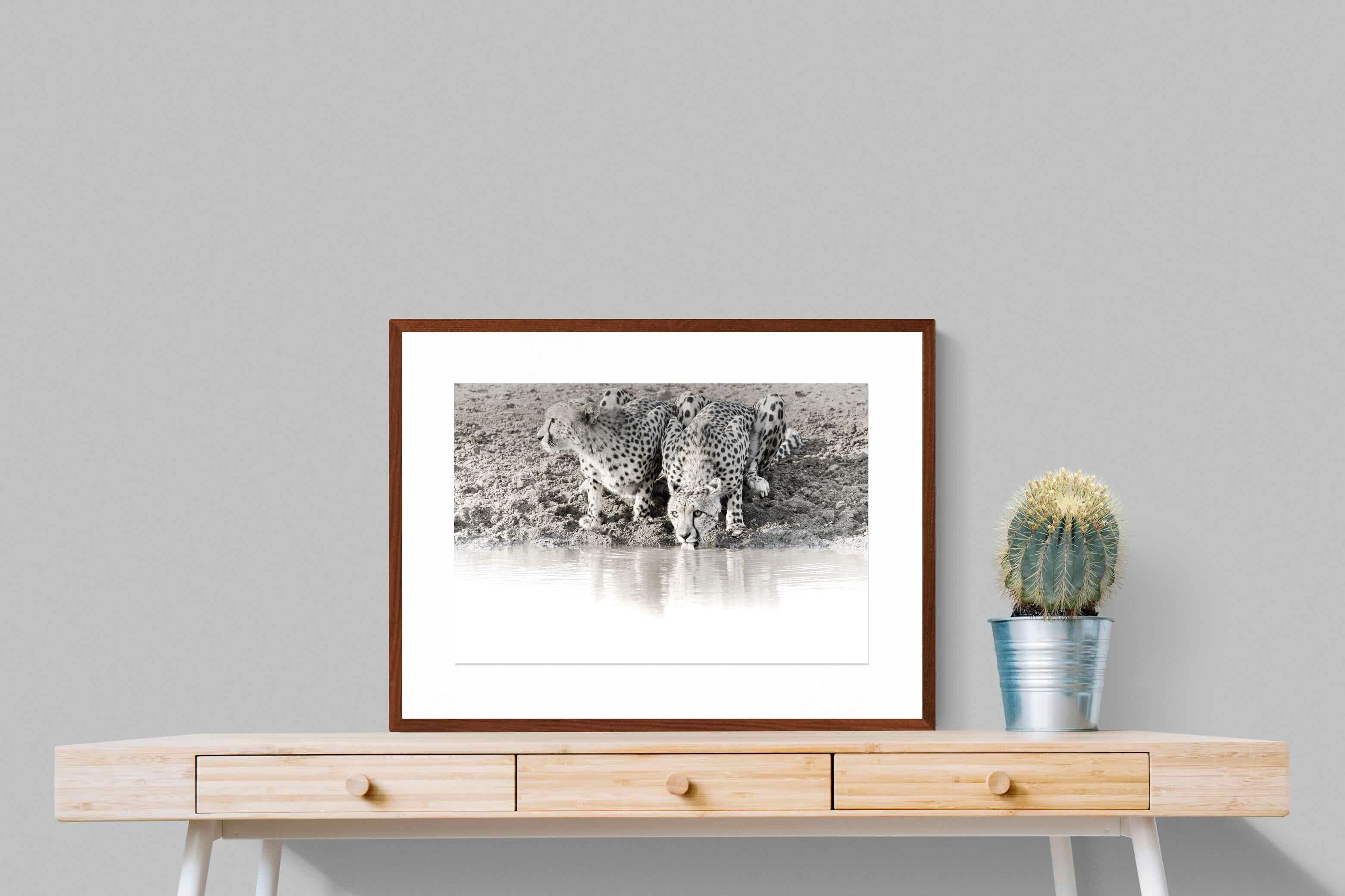 Pixalot Cheetah Sisters