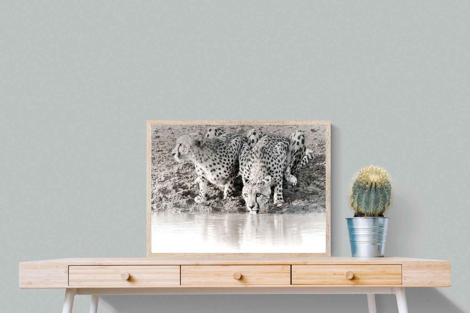 Pixalot Cheetah Sisters