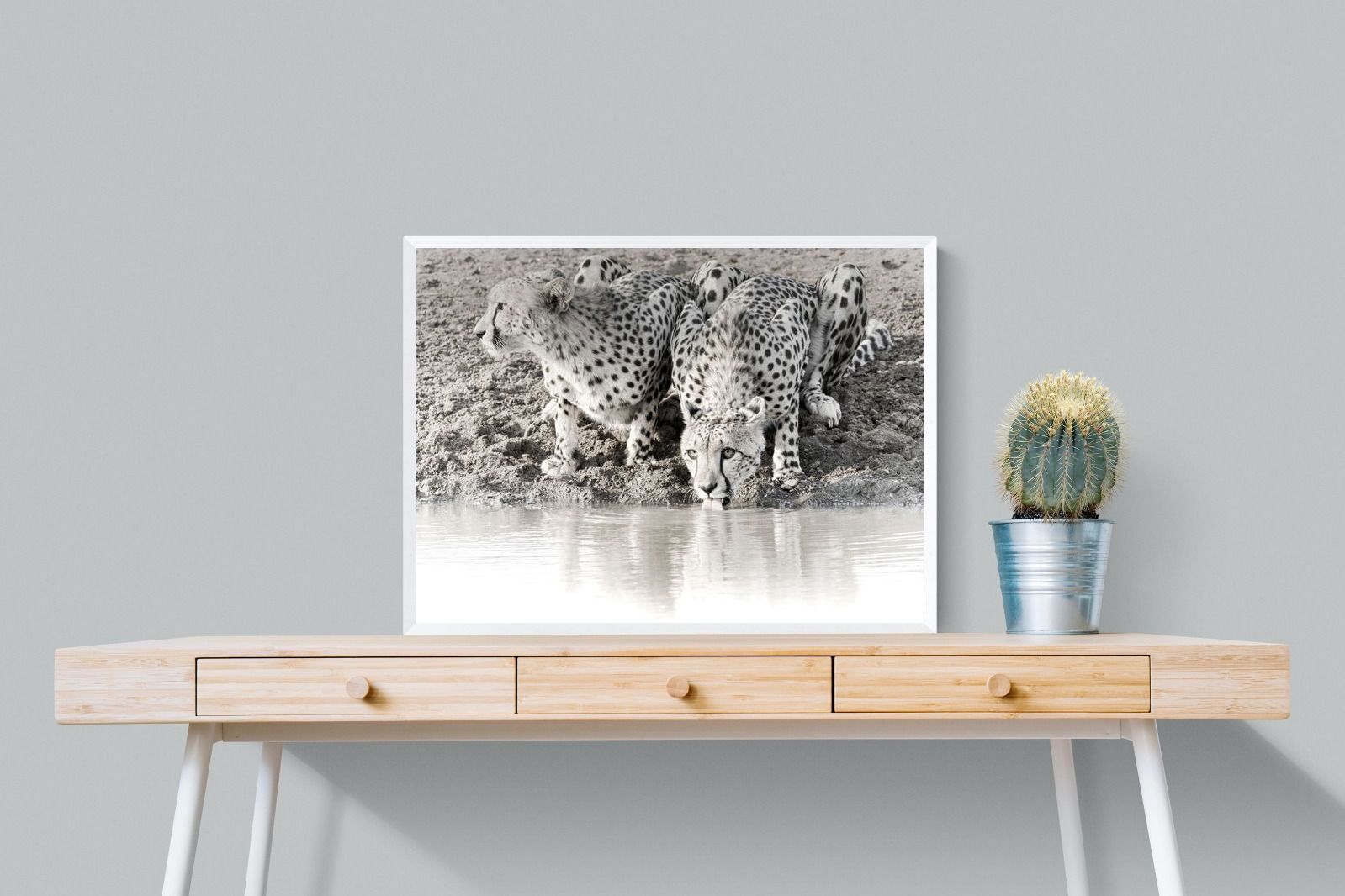 Pixalot Cheetah Sisters