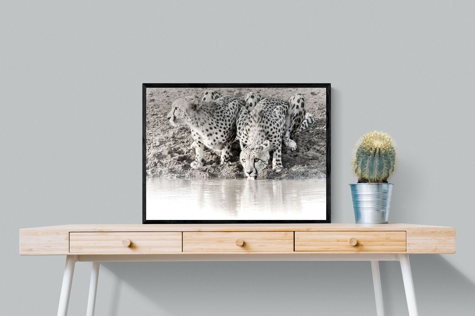 Pixalot Cheetah Sisters