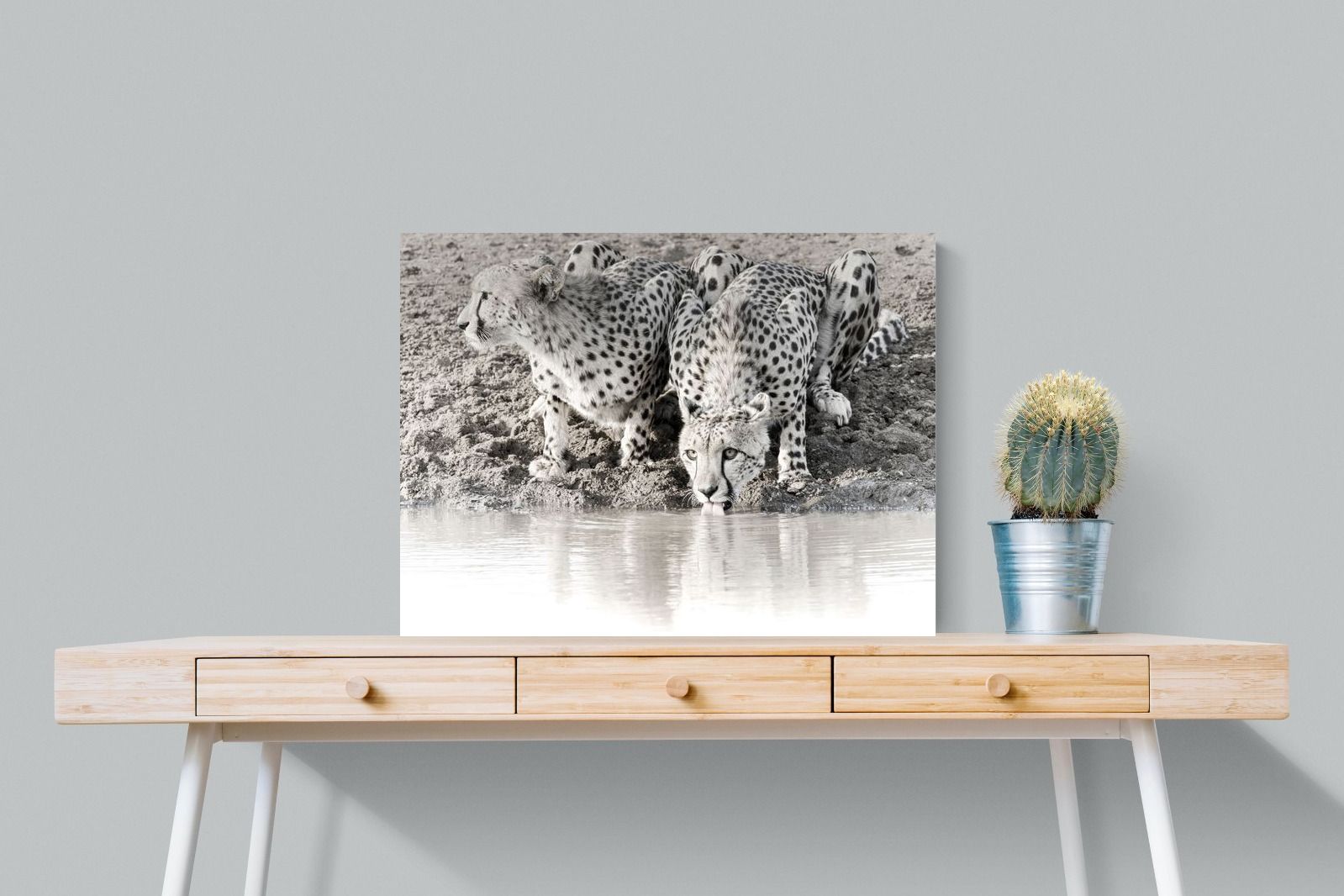 Pixalot Cheetah Sisters