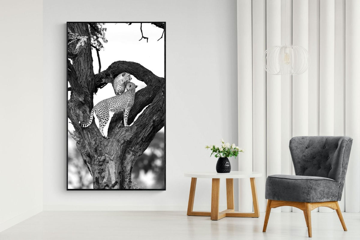 Pixalot ® Cheetahs in a Tree