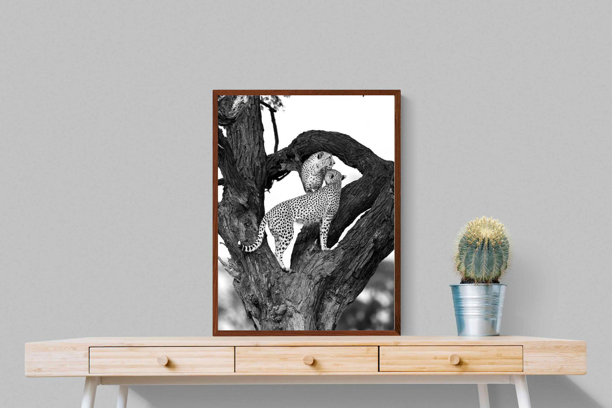 Pixalot ® Cheetahs in a Tree