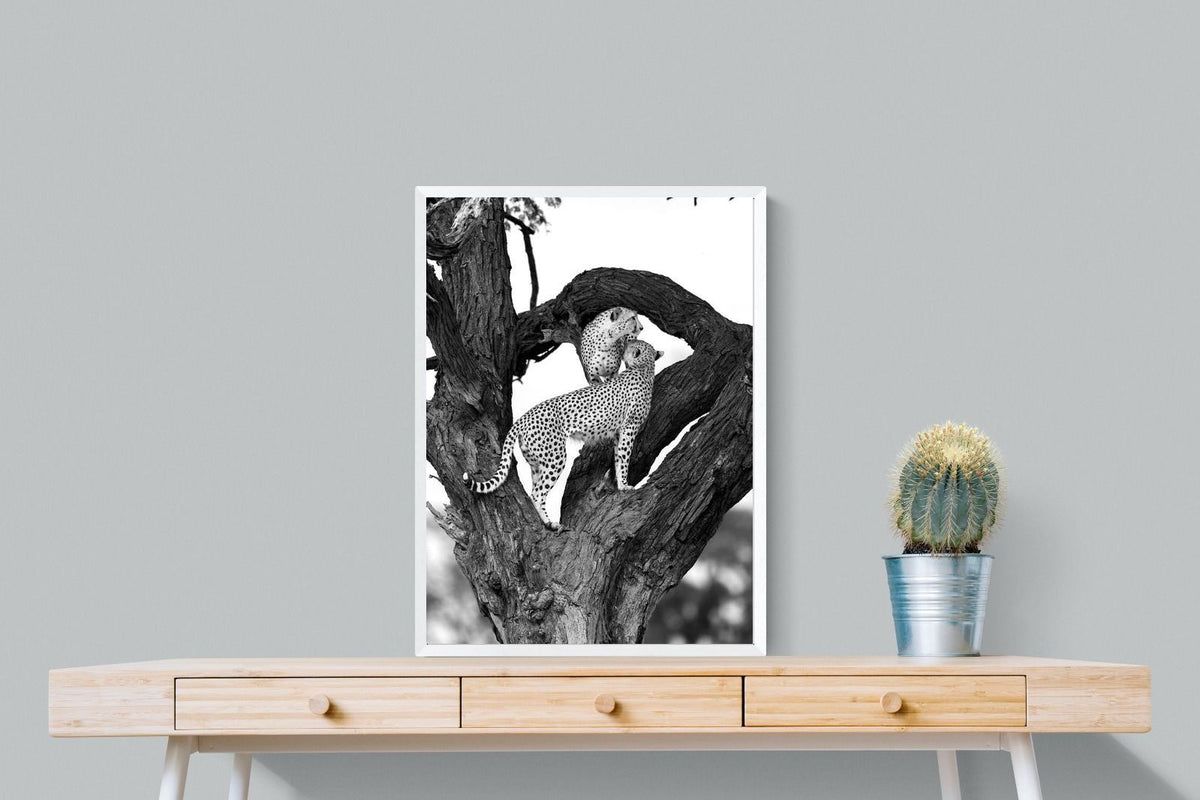 Pixalot ® Cheetahs in a Tree