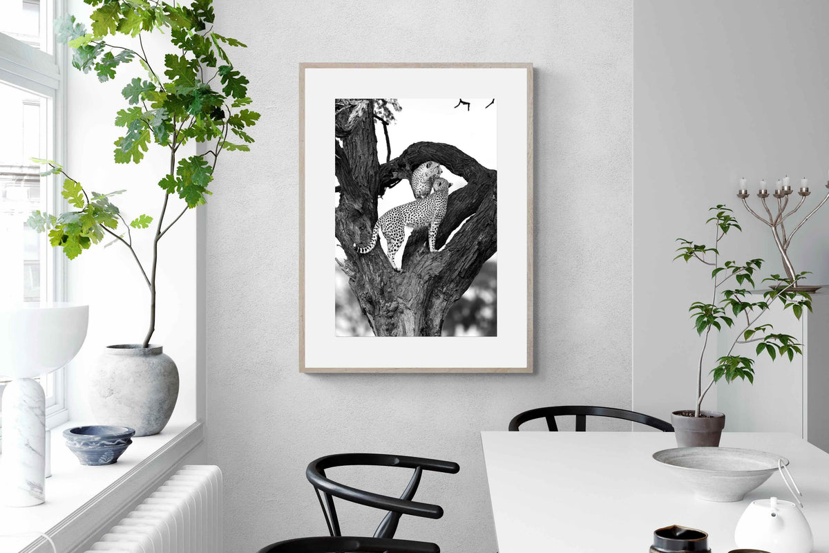 Pixalot ® Cheetahs in a Tree