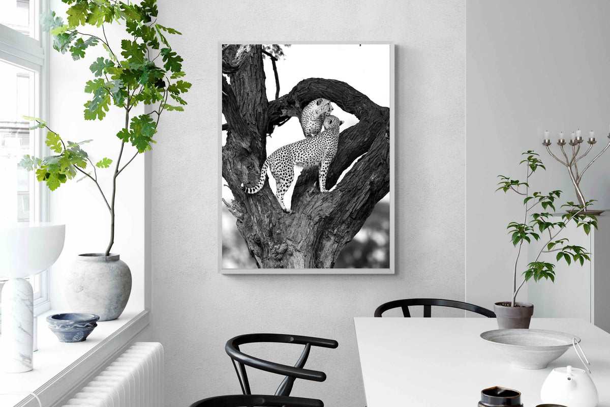 Pixalot ® Cheetahs in a Tree