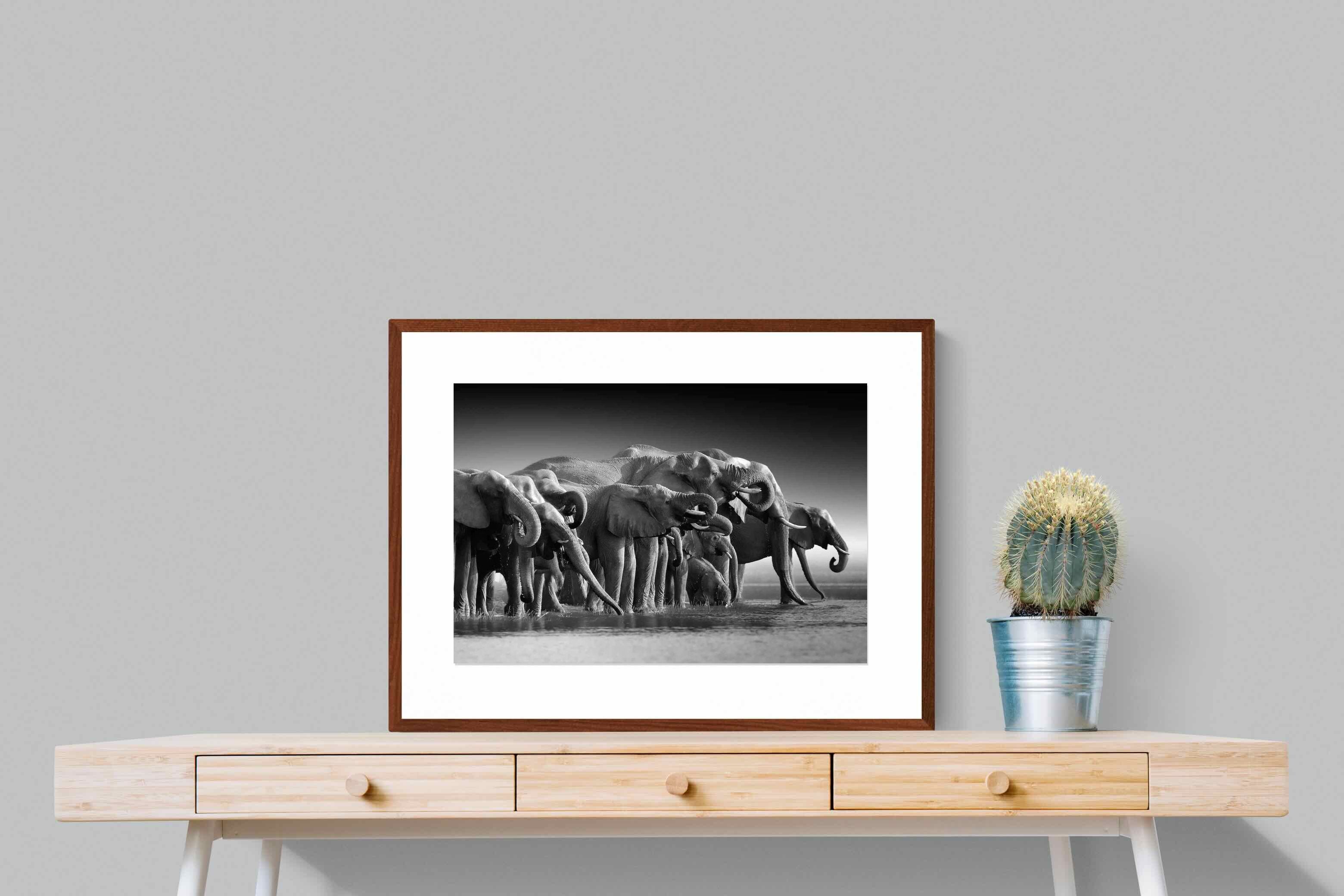 Pixalot ® Chobe Elephants