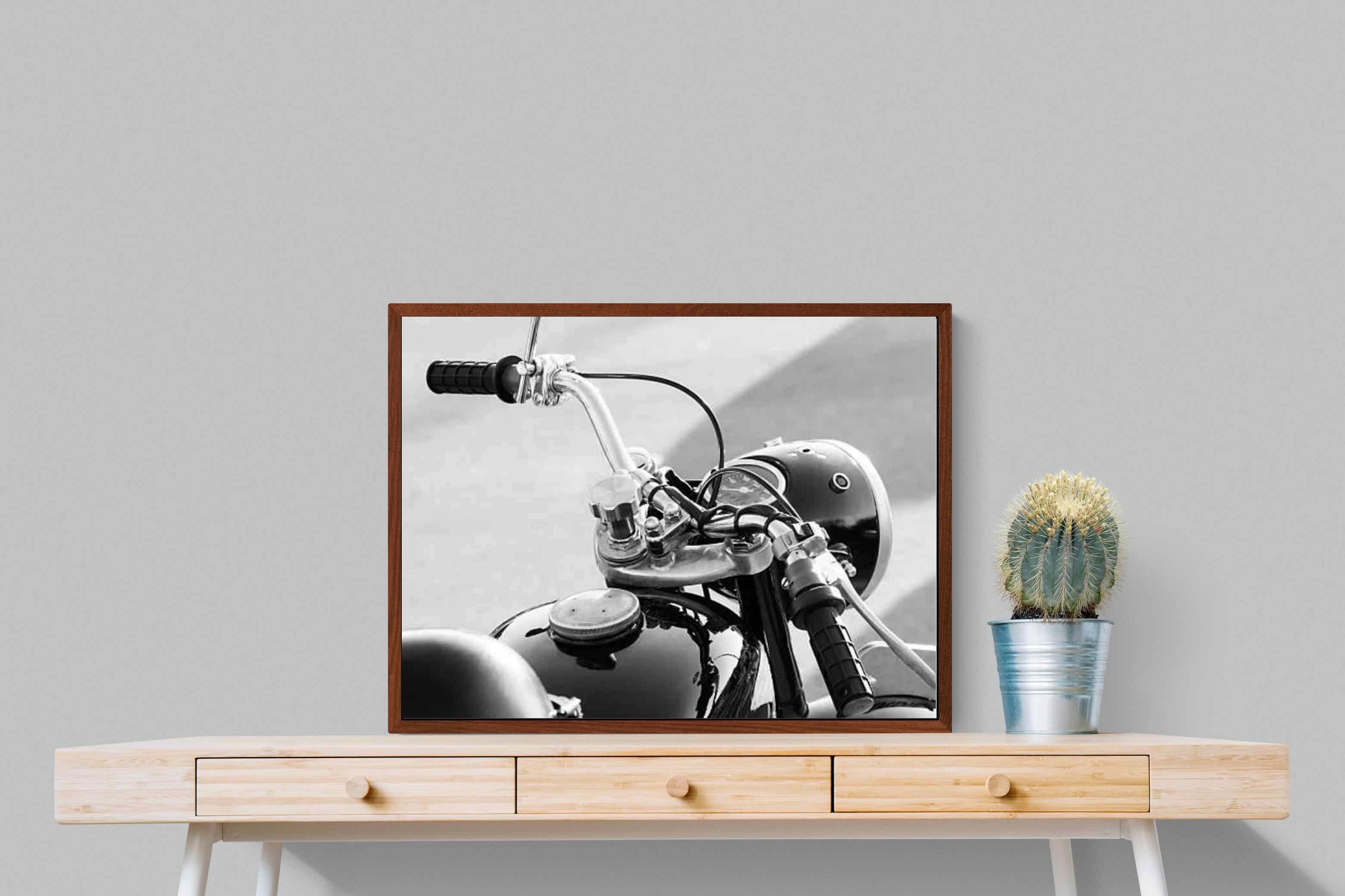 Pixalot ® Classic Bike