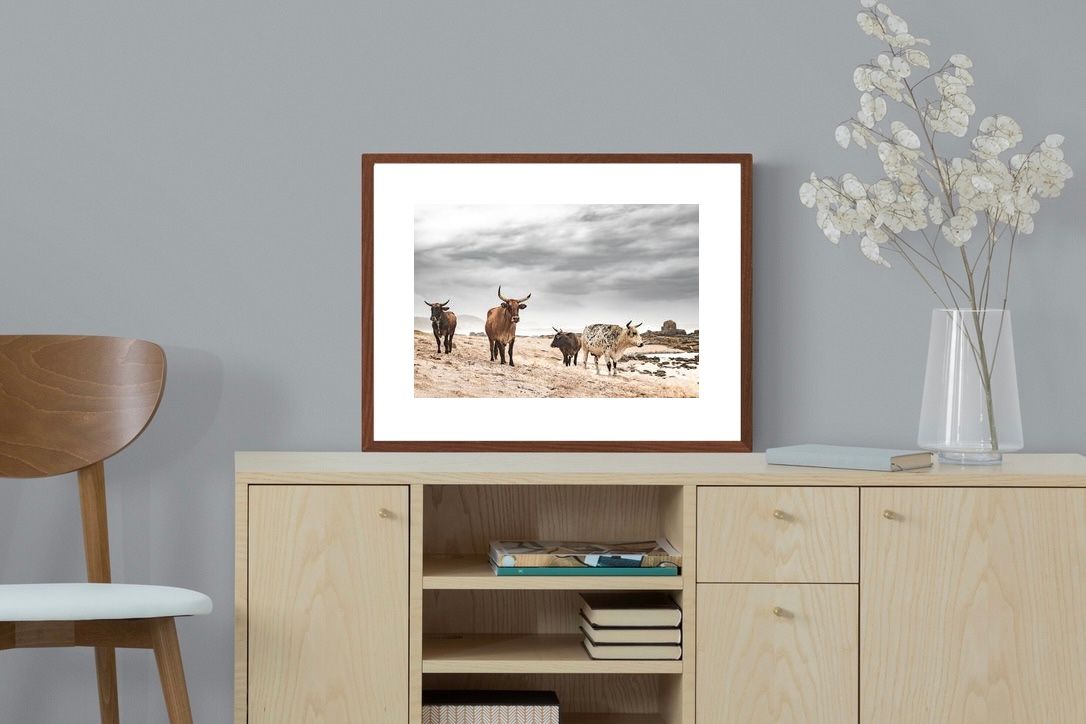 Pixalot ® Coastal Guardians