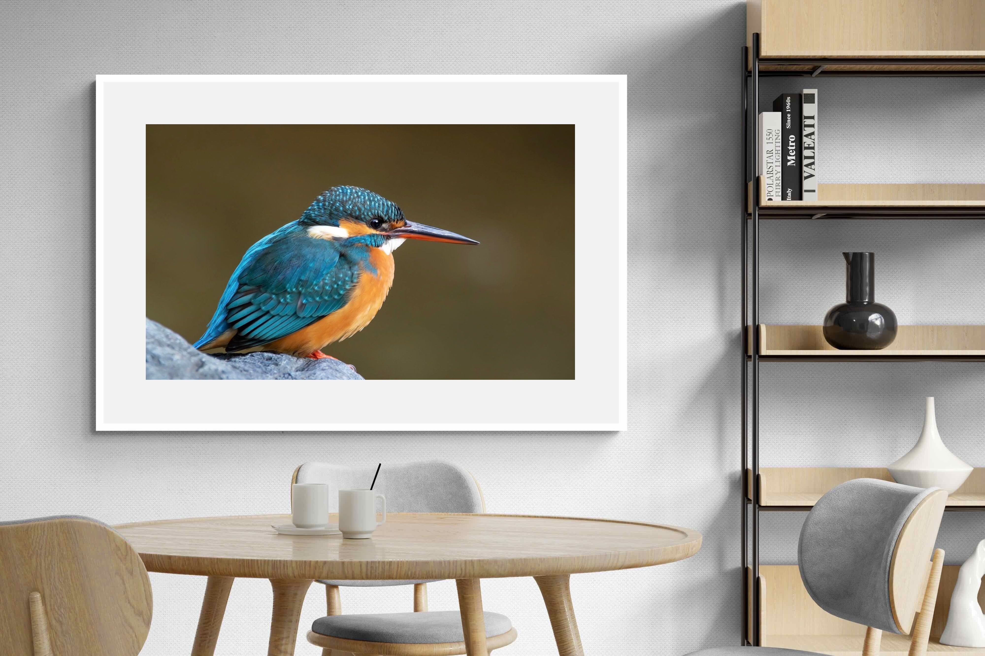 Pixalot Common Kingfisher