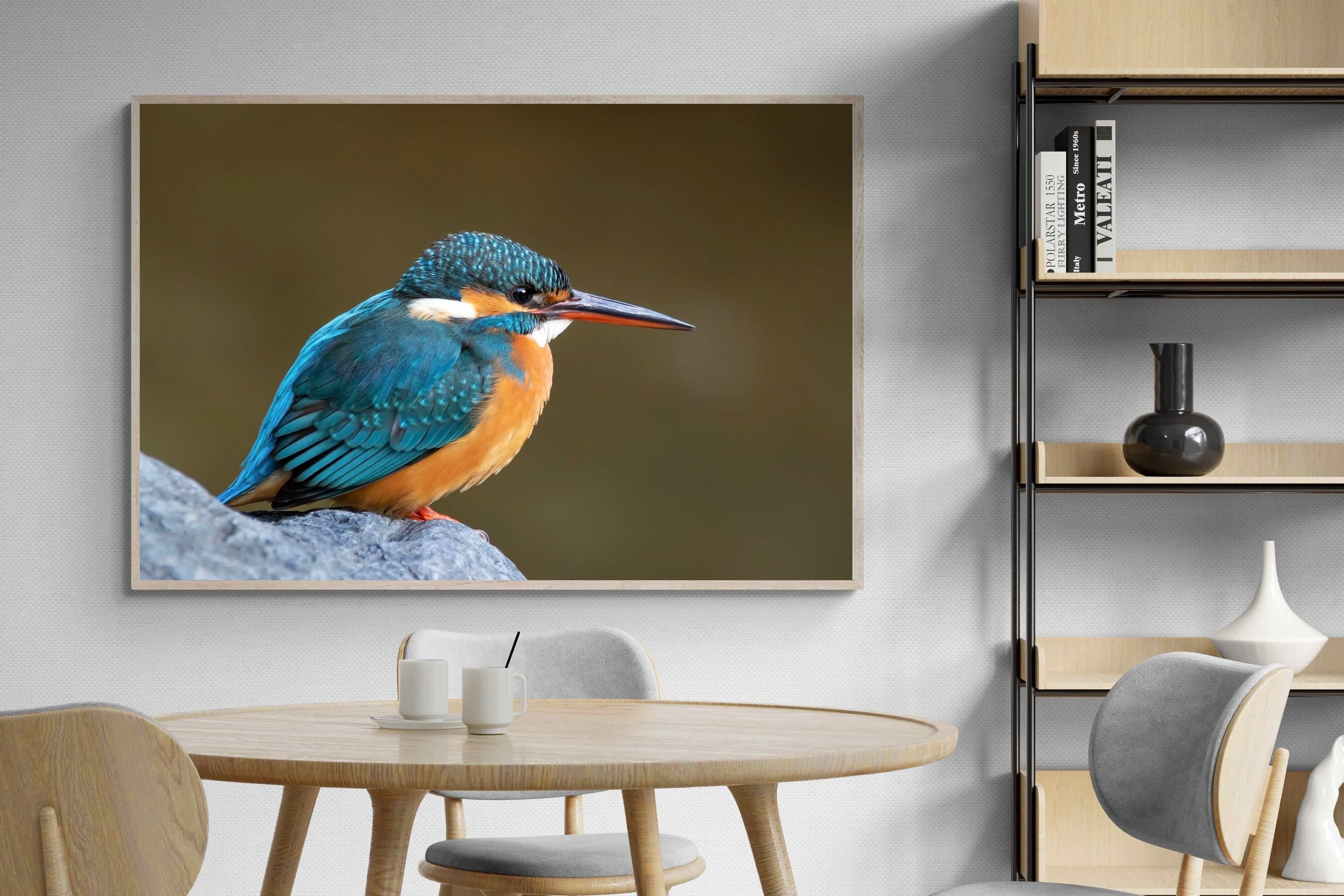 Pixalot Common Kingfisher