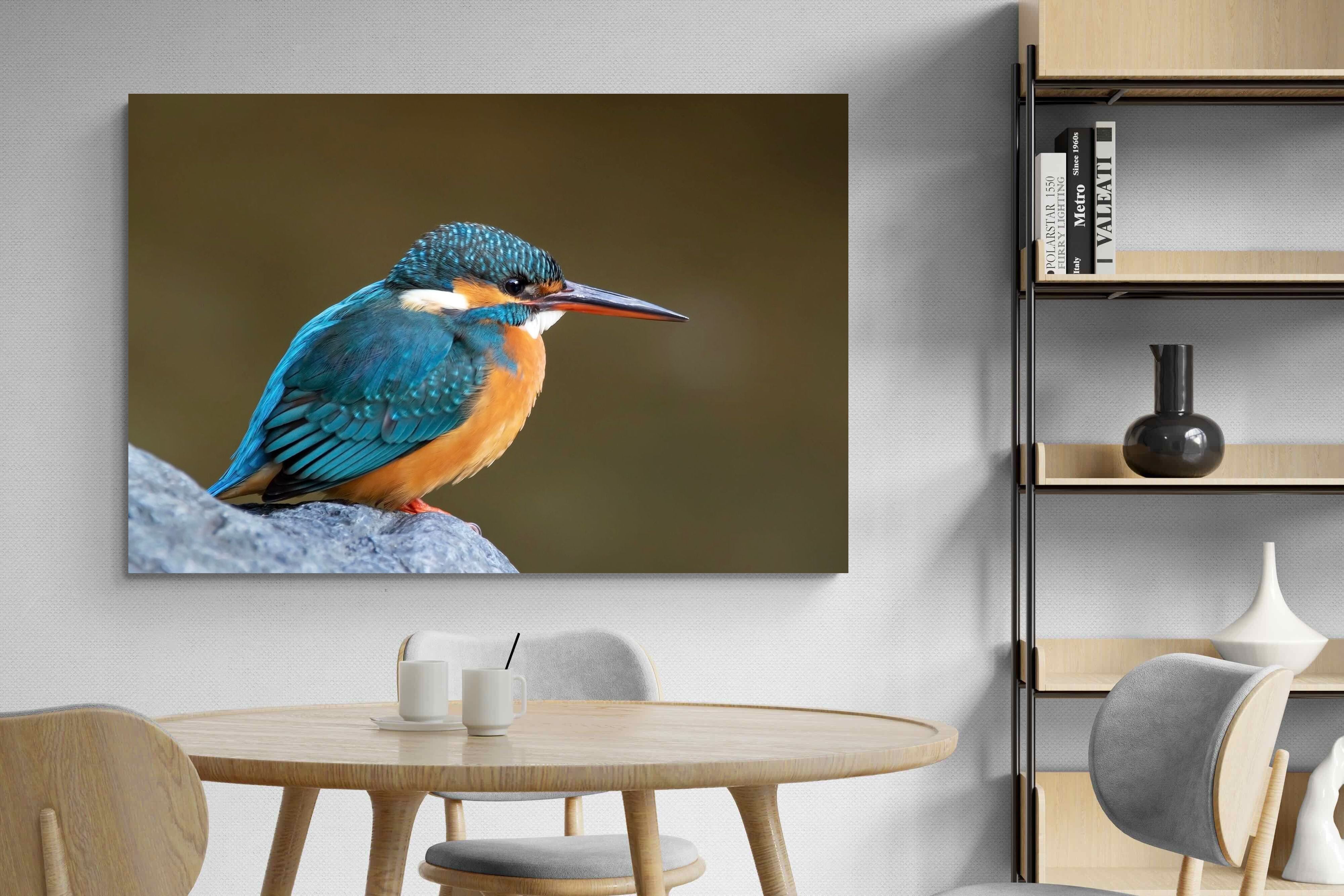 Pixalot Common Kingfisher