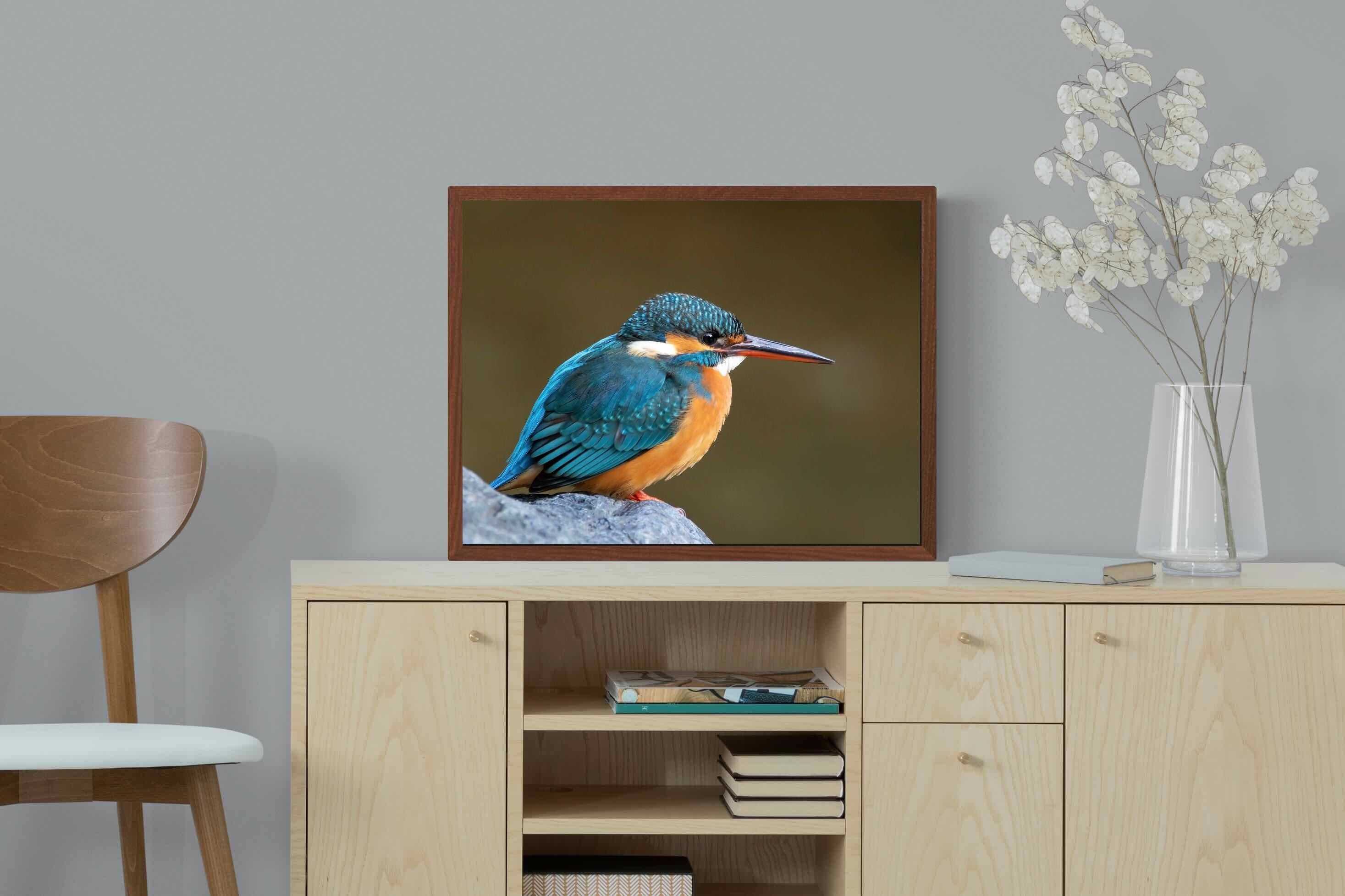 Pixalot Common Kingfisher
