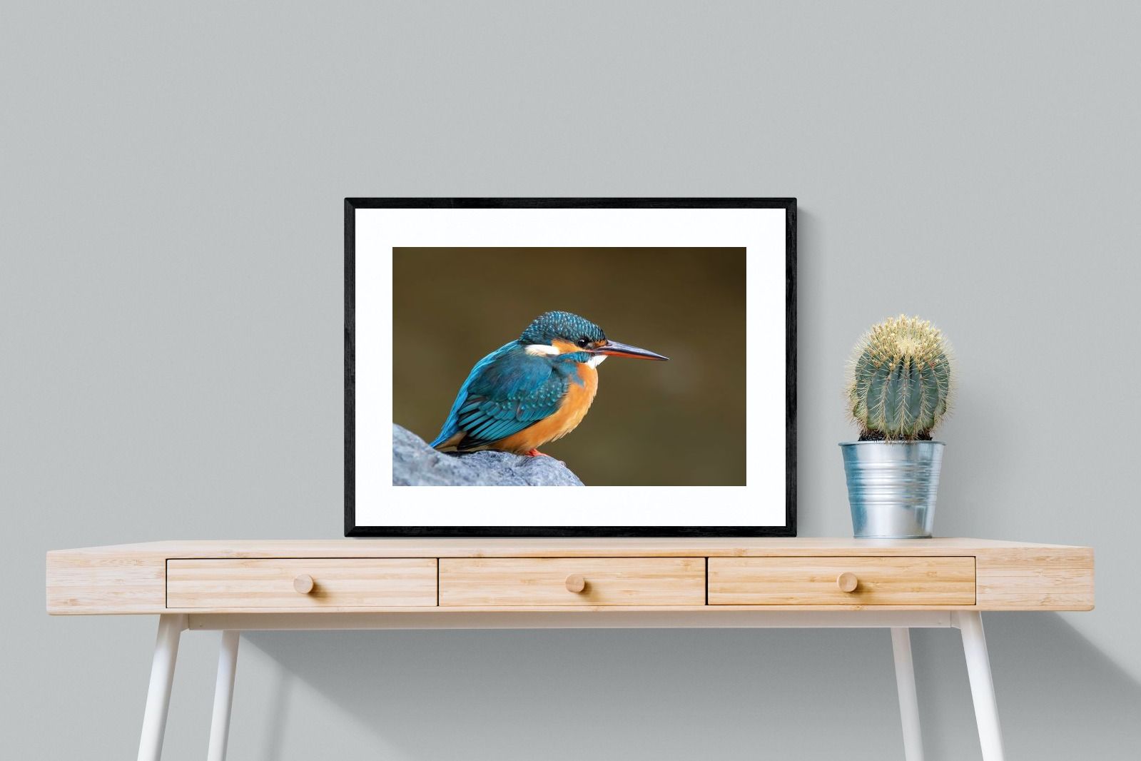 Pixalot Common Kingfisher