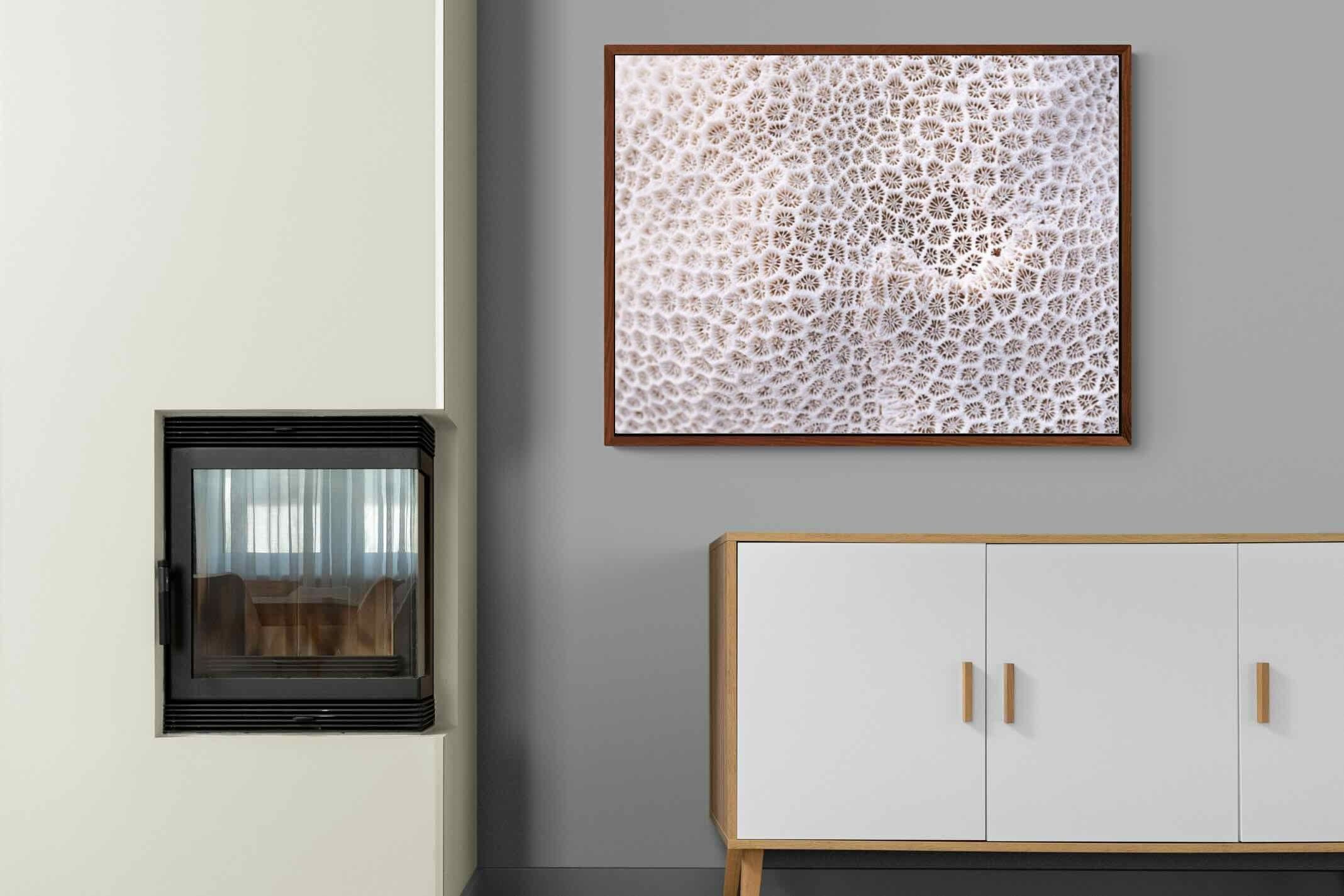 Pixalot ® Coral