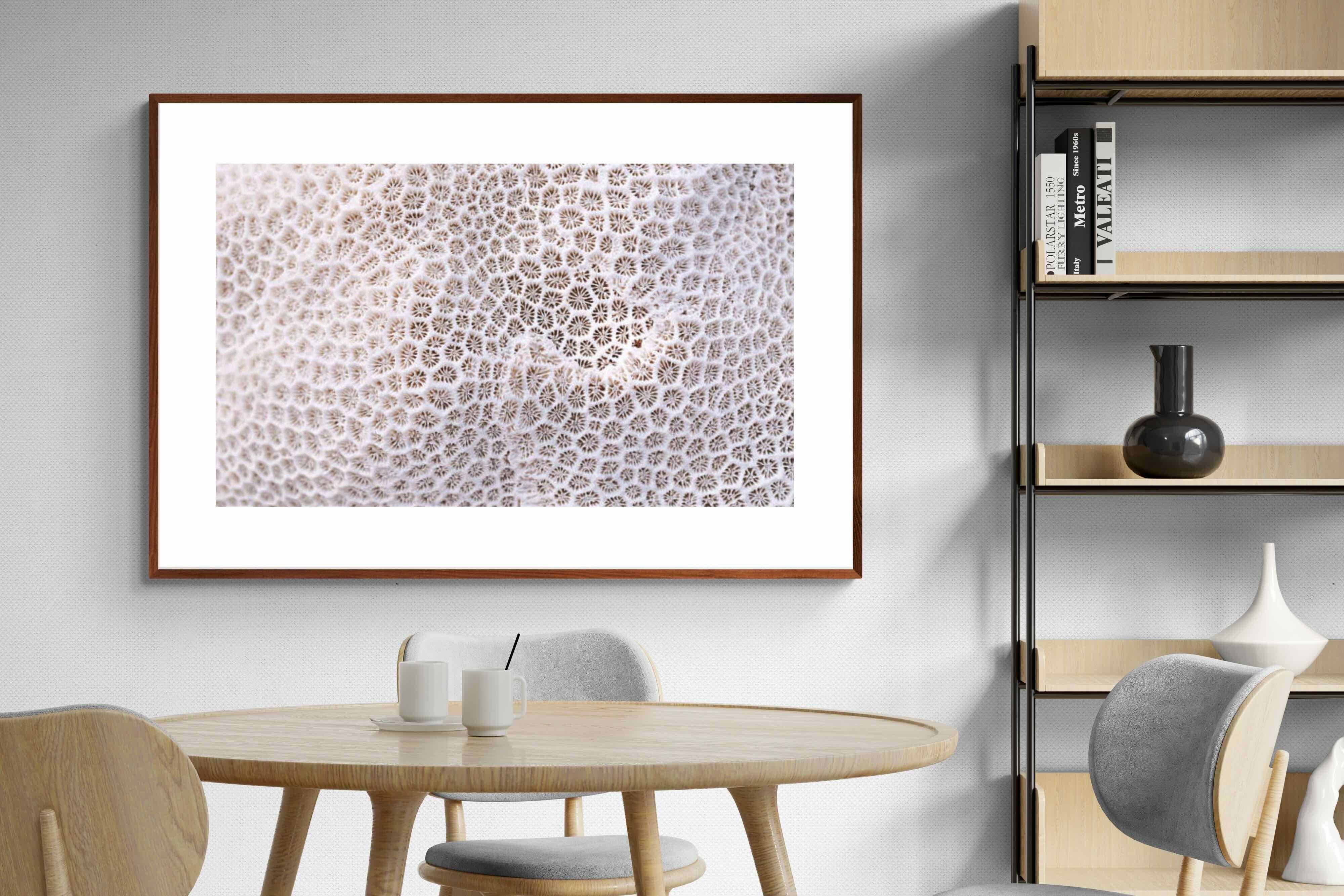 Pixalot ® Coral
