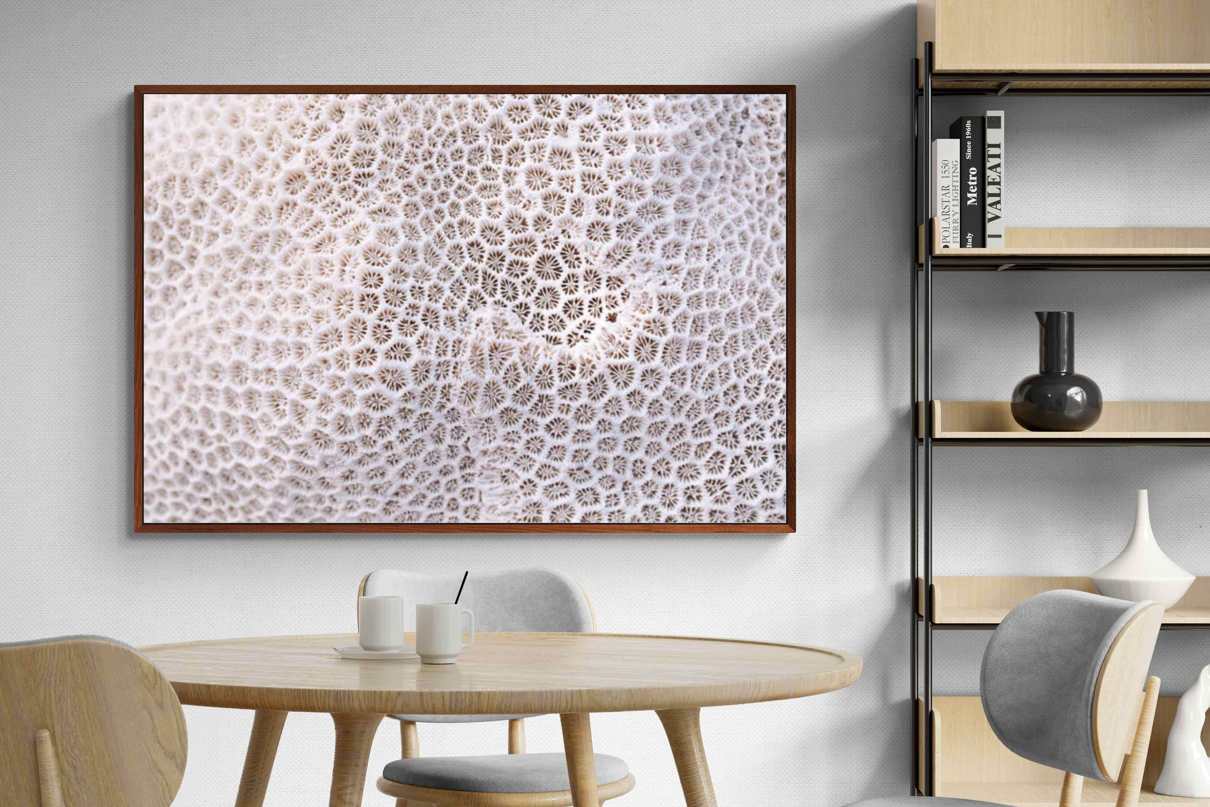 Pixalot ® Coral