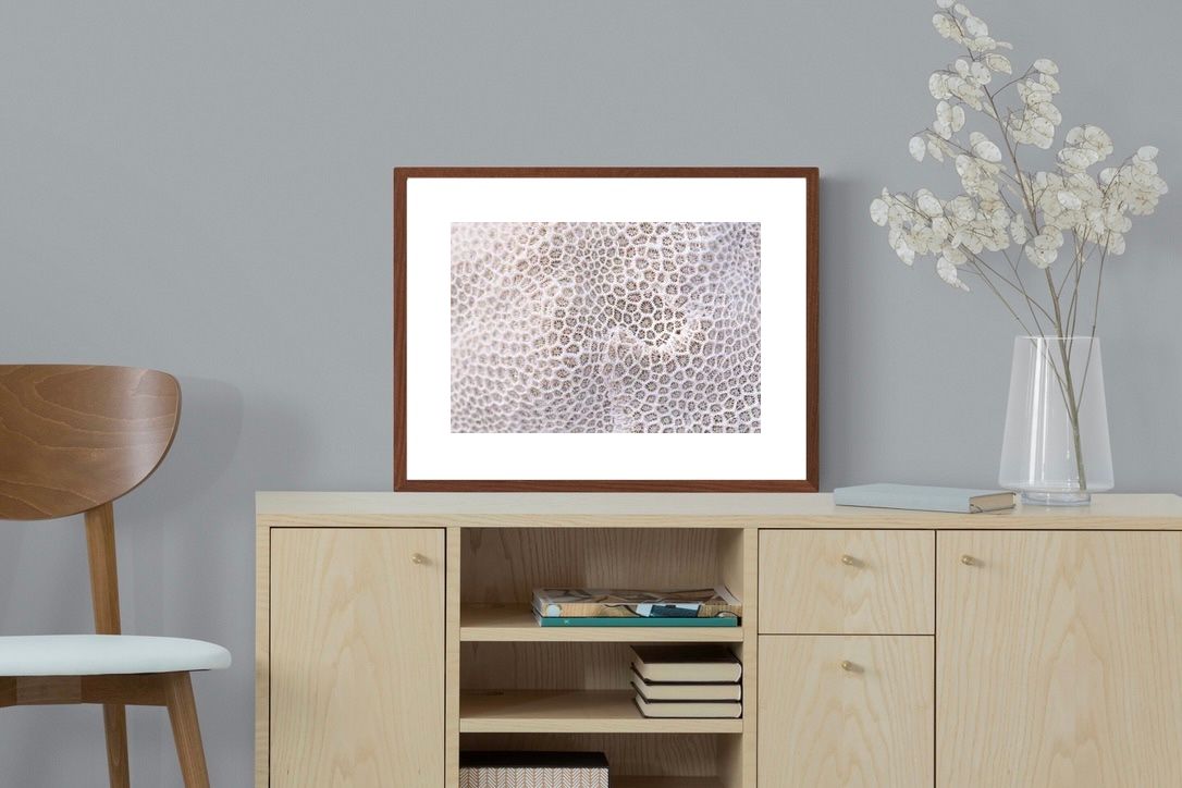 Pixalot ® Coral