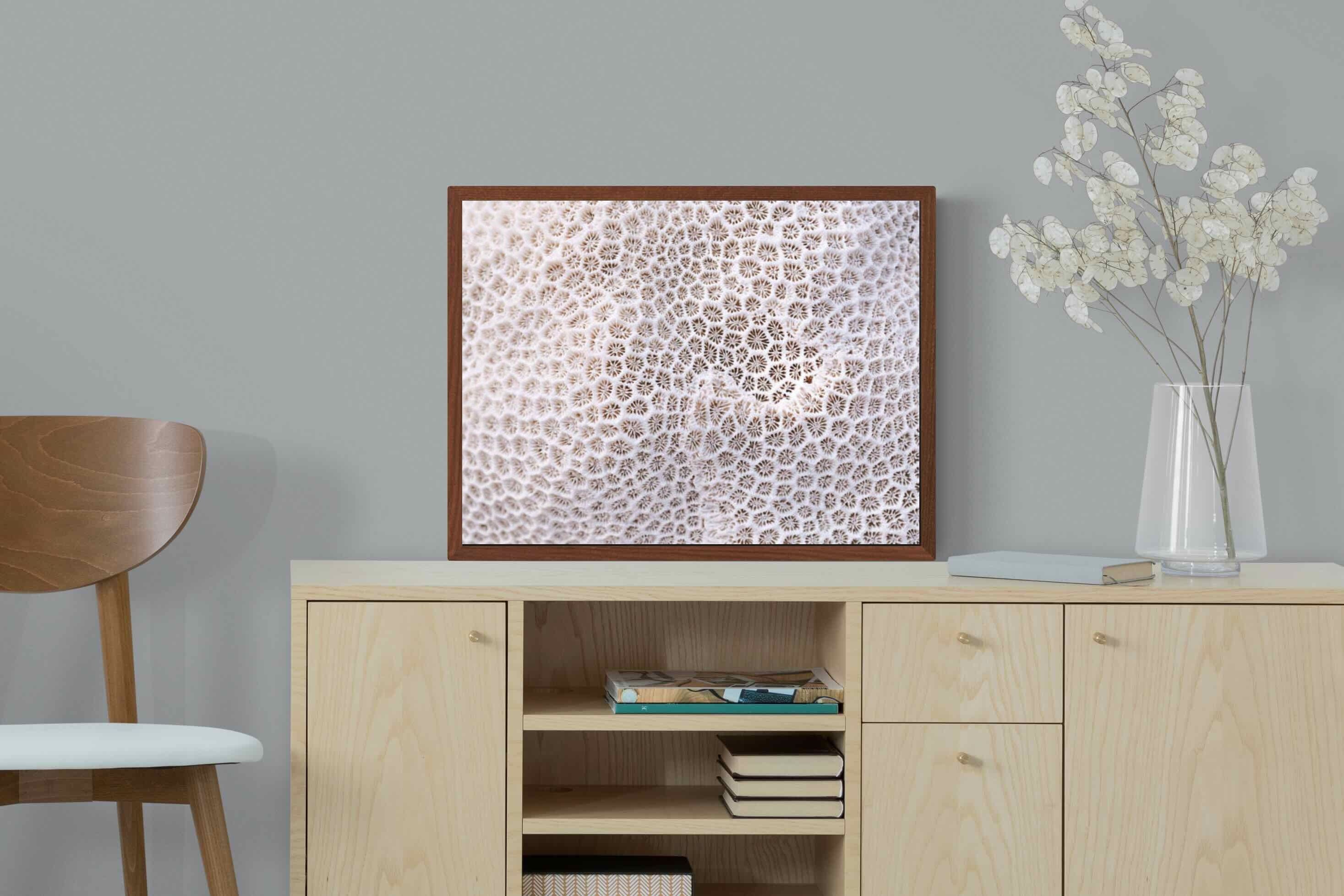 Pixalot ® Coral