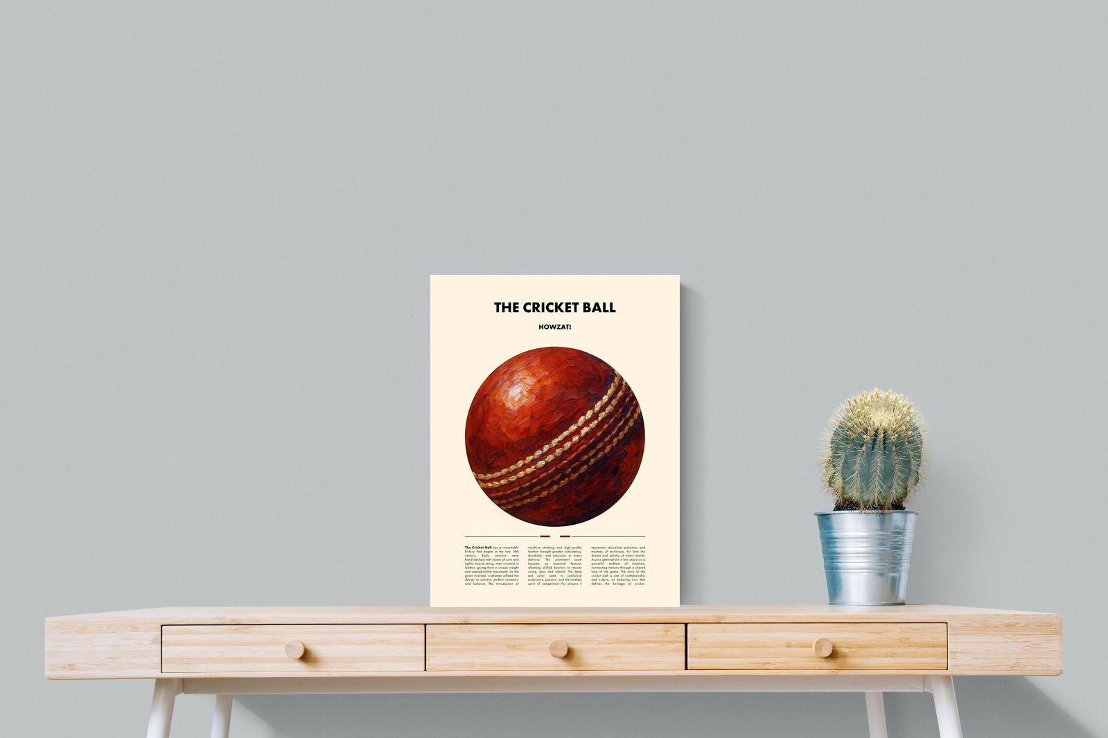 Pixalot ® Cricket Ball