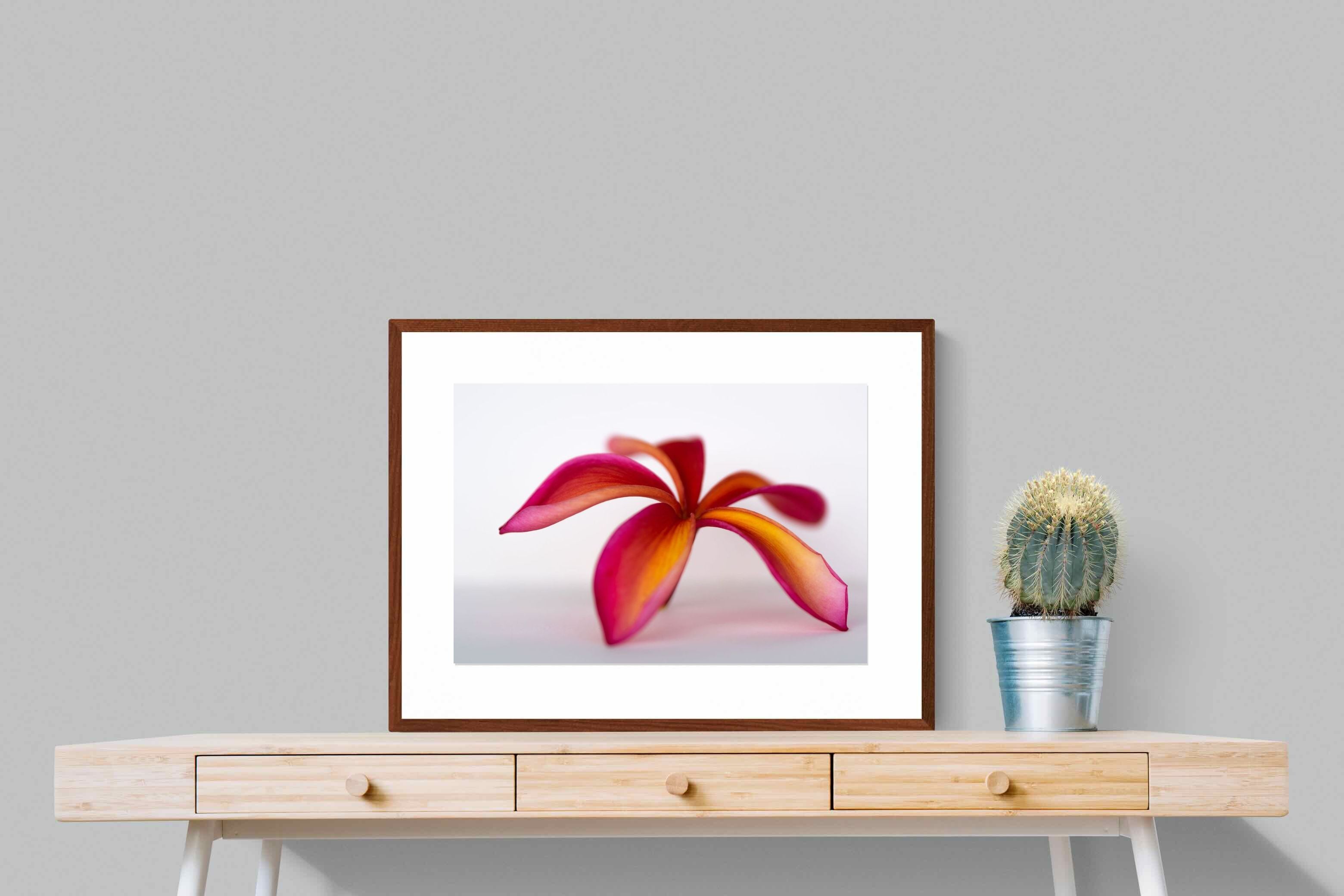 Pixalot ® Crimson Flora