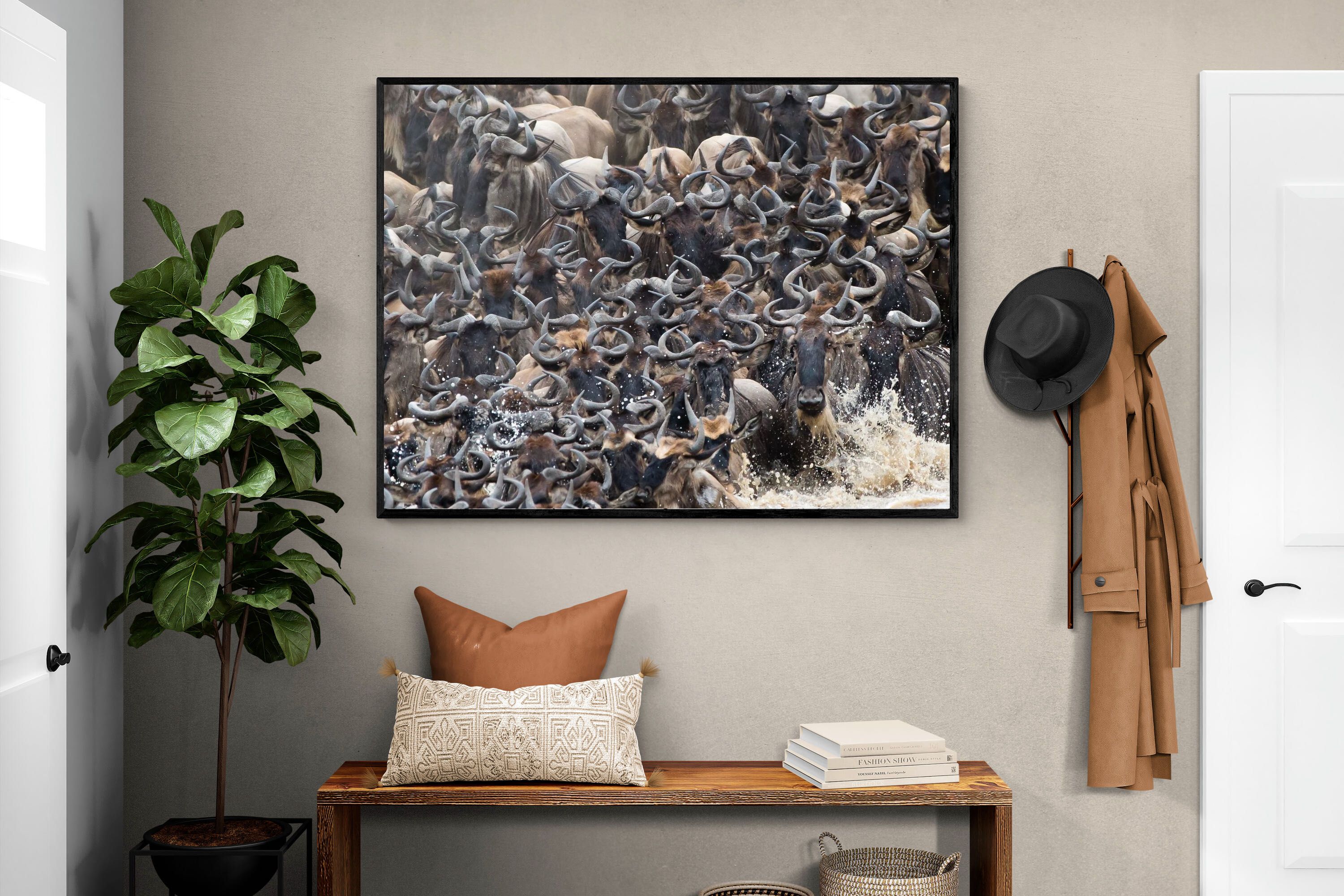 Pixalot Crossing Chaos