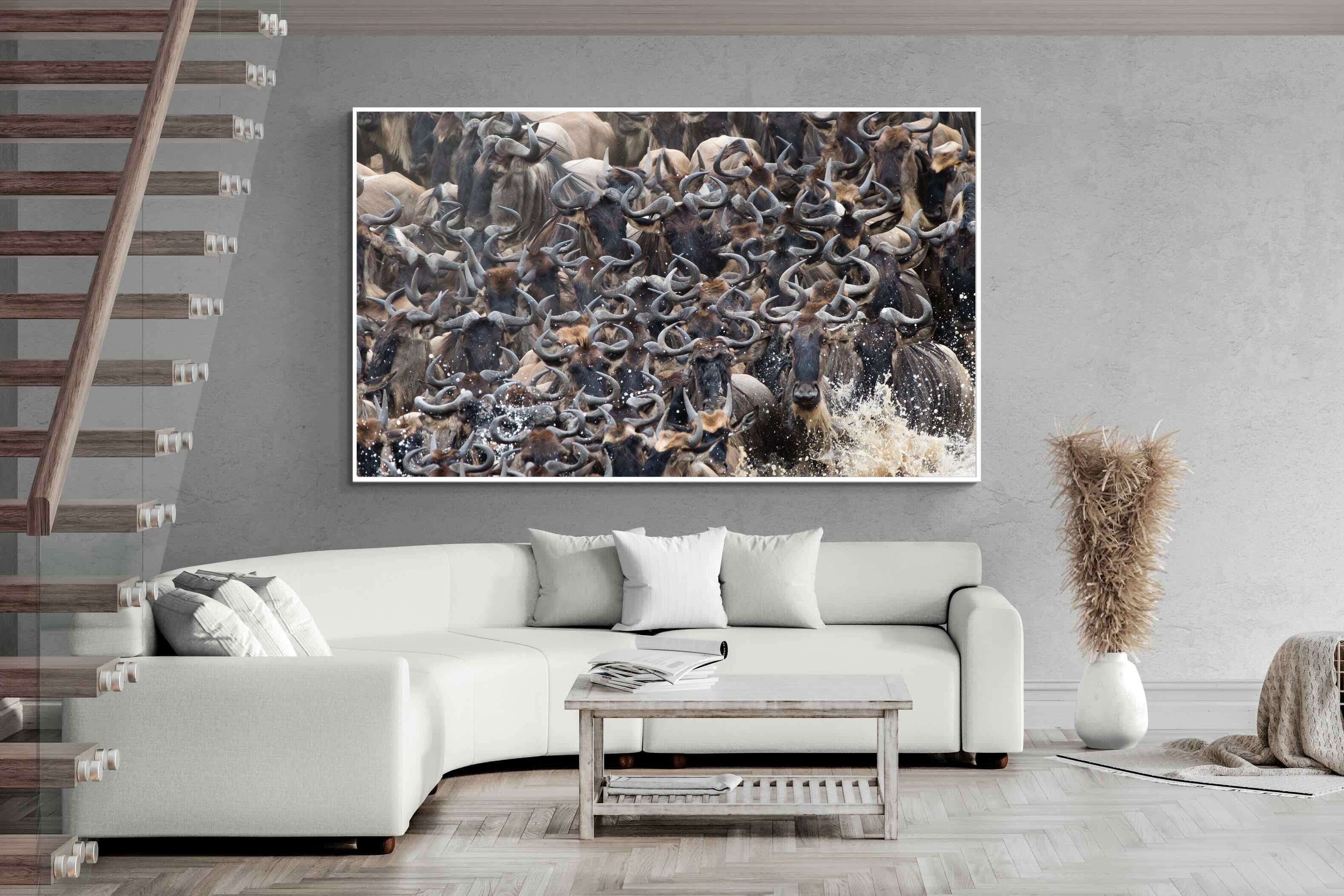 Pixalot Crossing Chaos