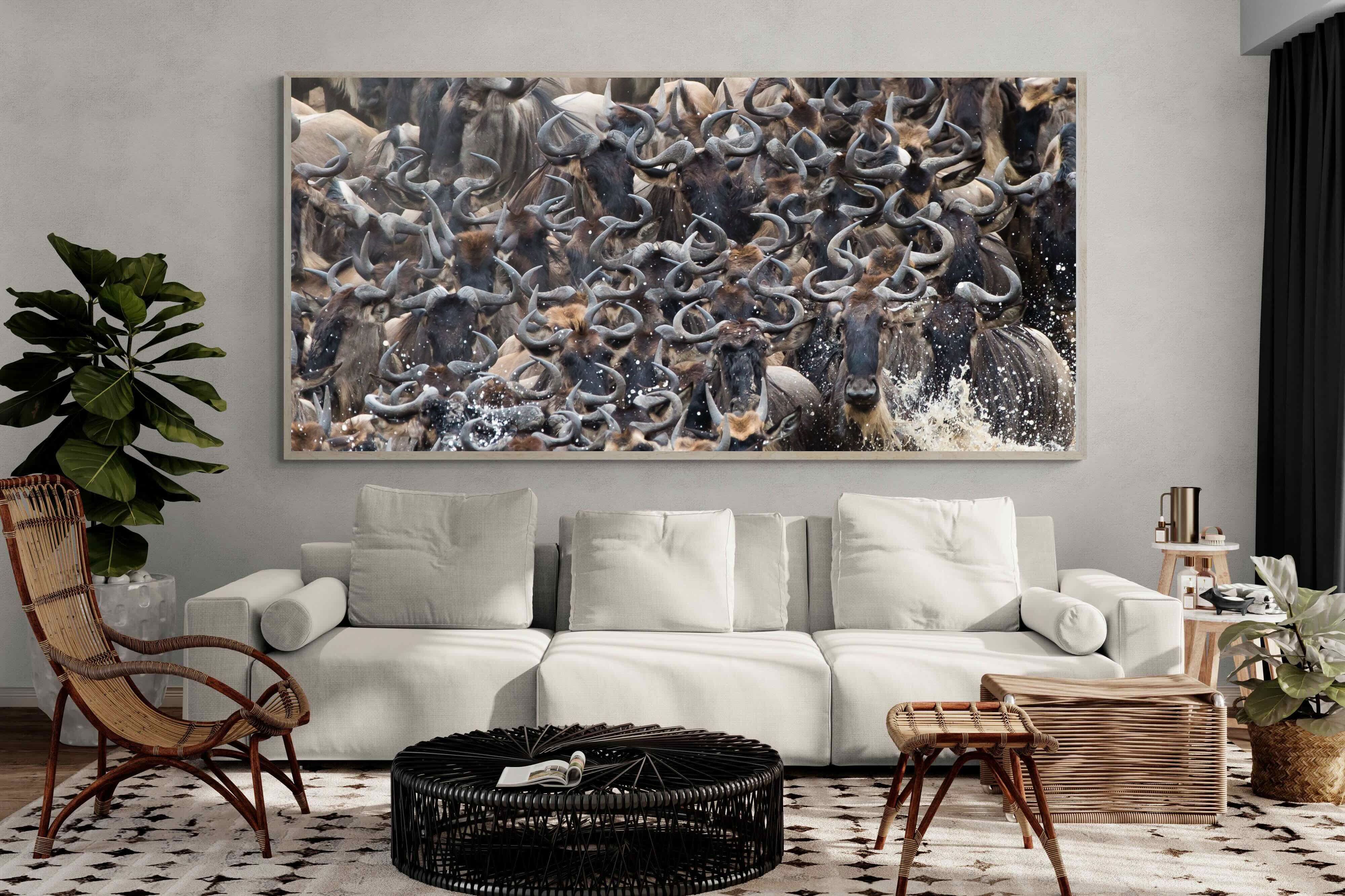 Pixalot Crossing Chaos