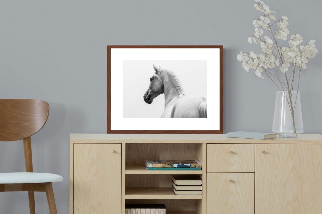 Pixalot ® Curious Horse