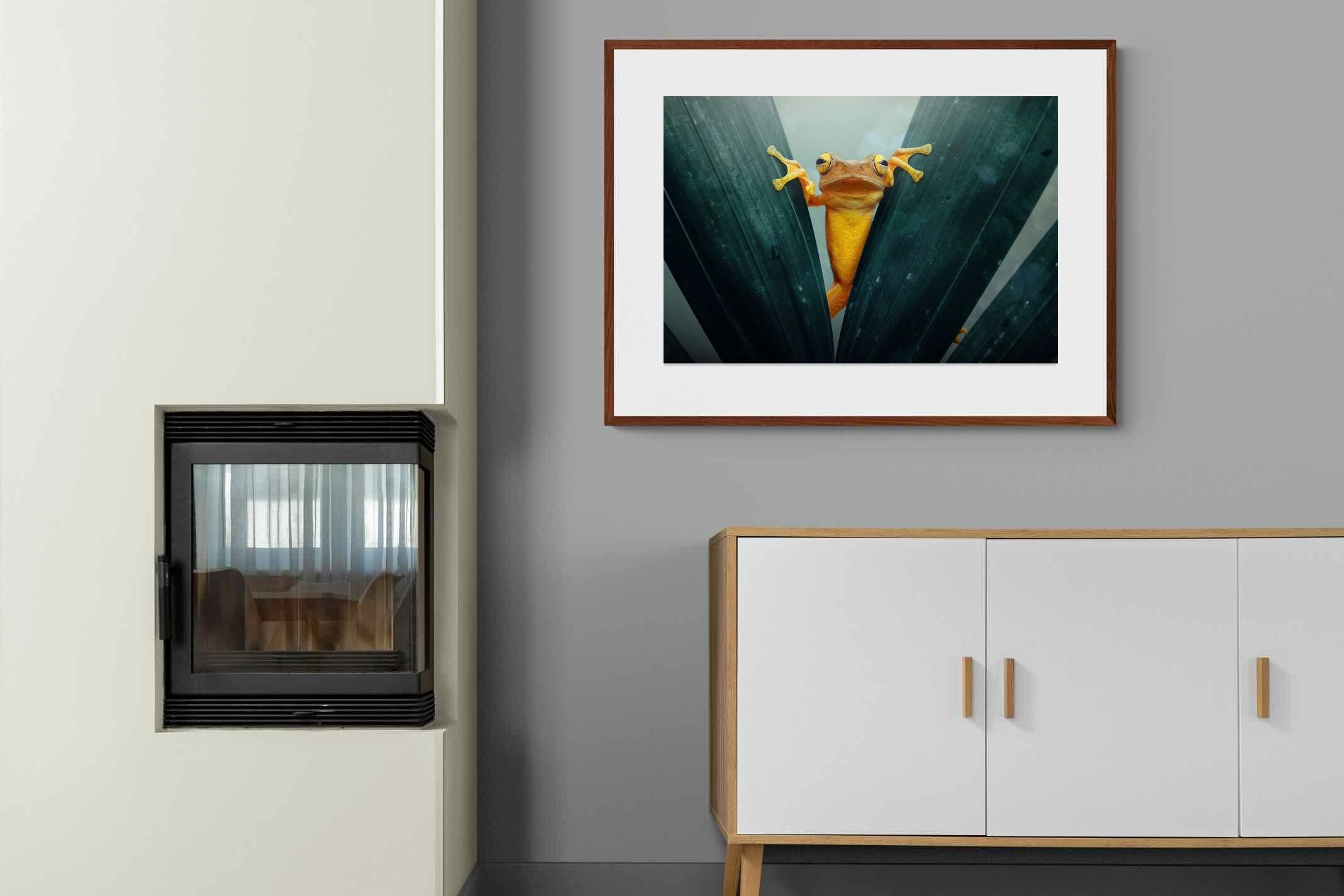 Pixalot Curious Jungle Frog