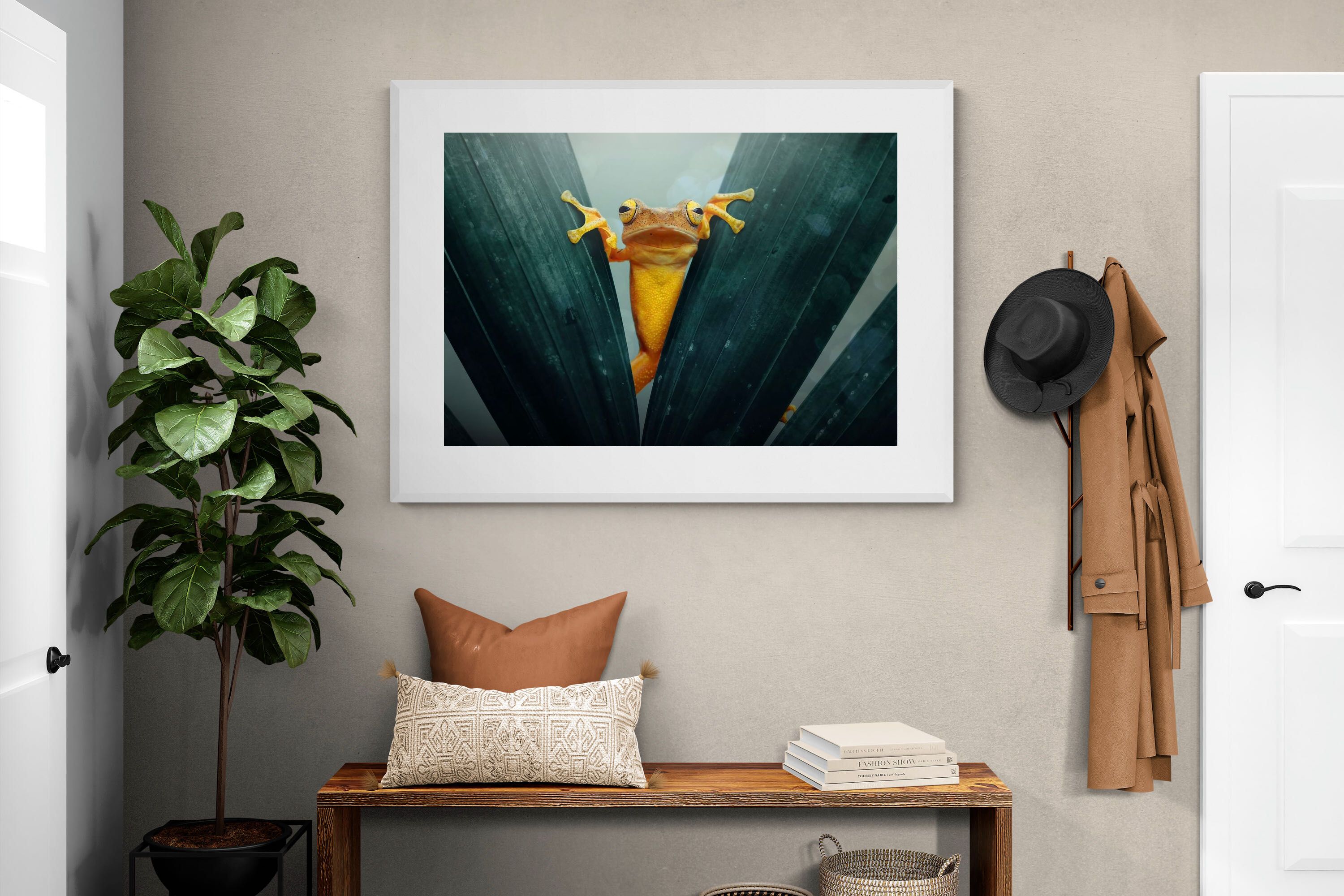 Pixalot Curious Jungle Frog