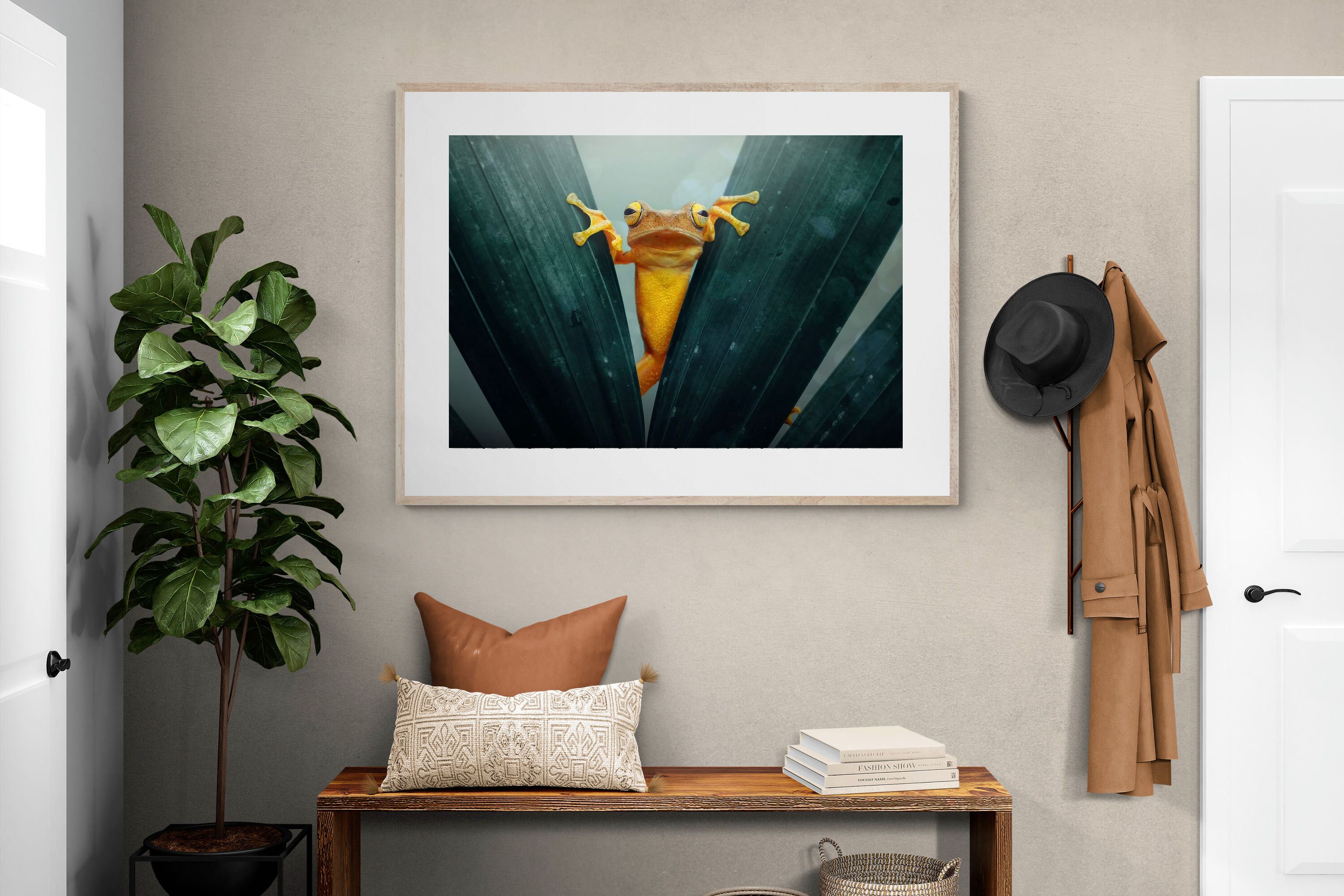 Pixalot Curious Jungle Frog