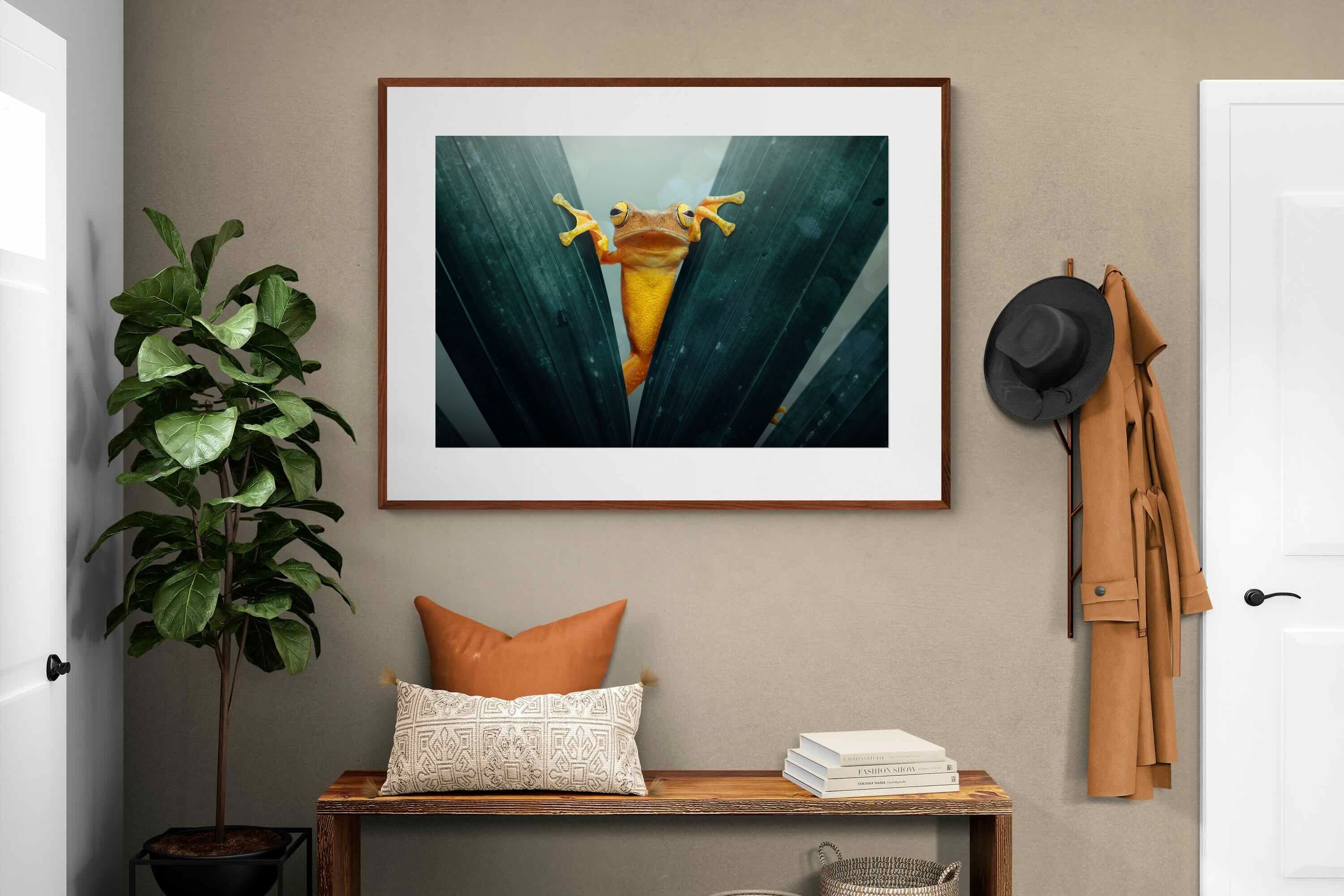 Pixalot Curious Jungle Frog