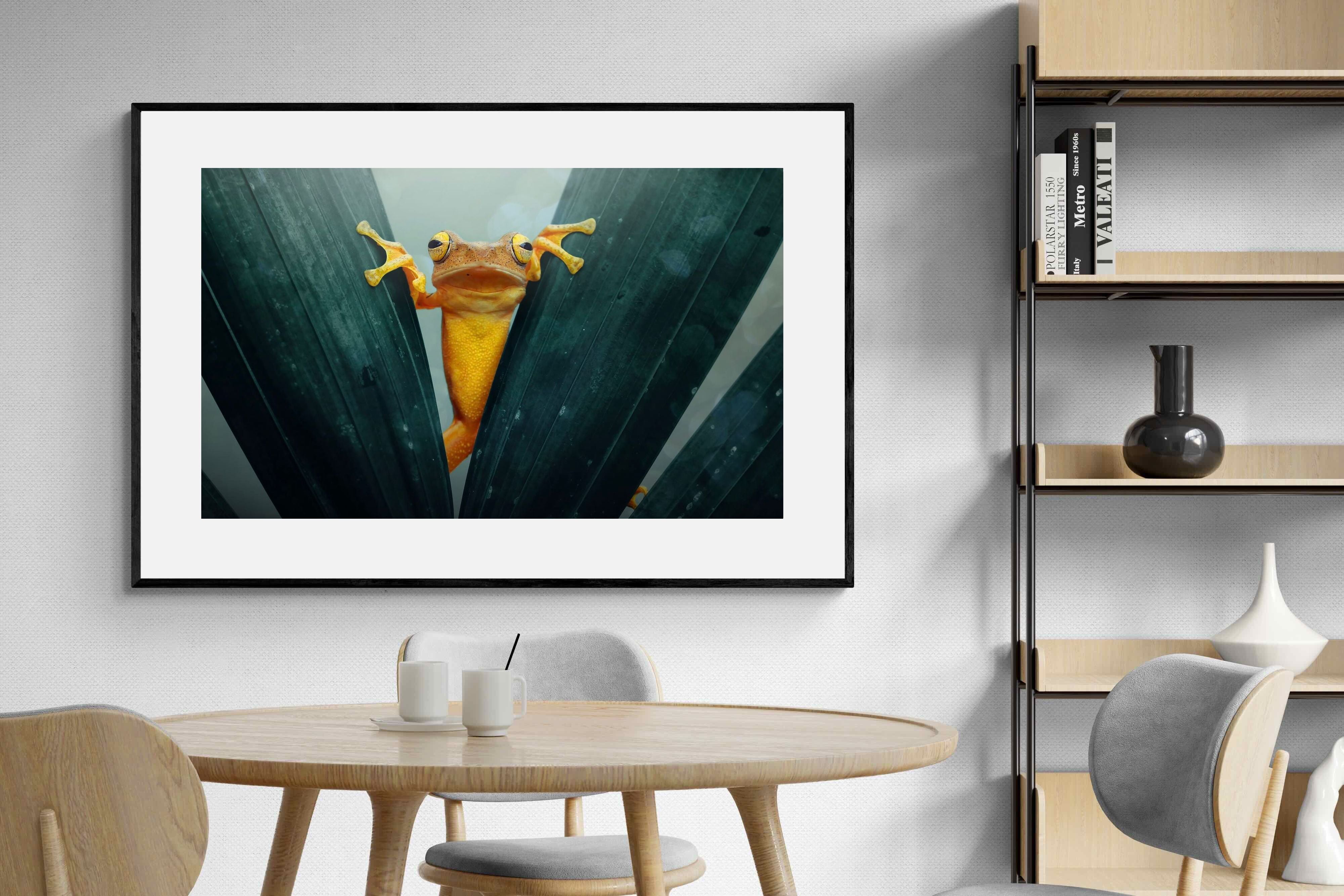 Pixalot Curious Jungle Frog