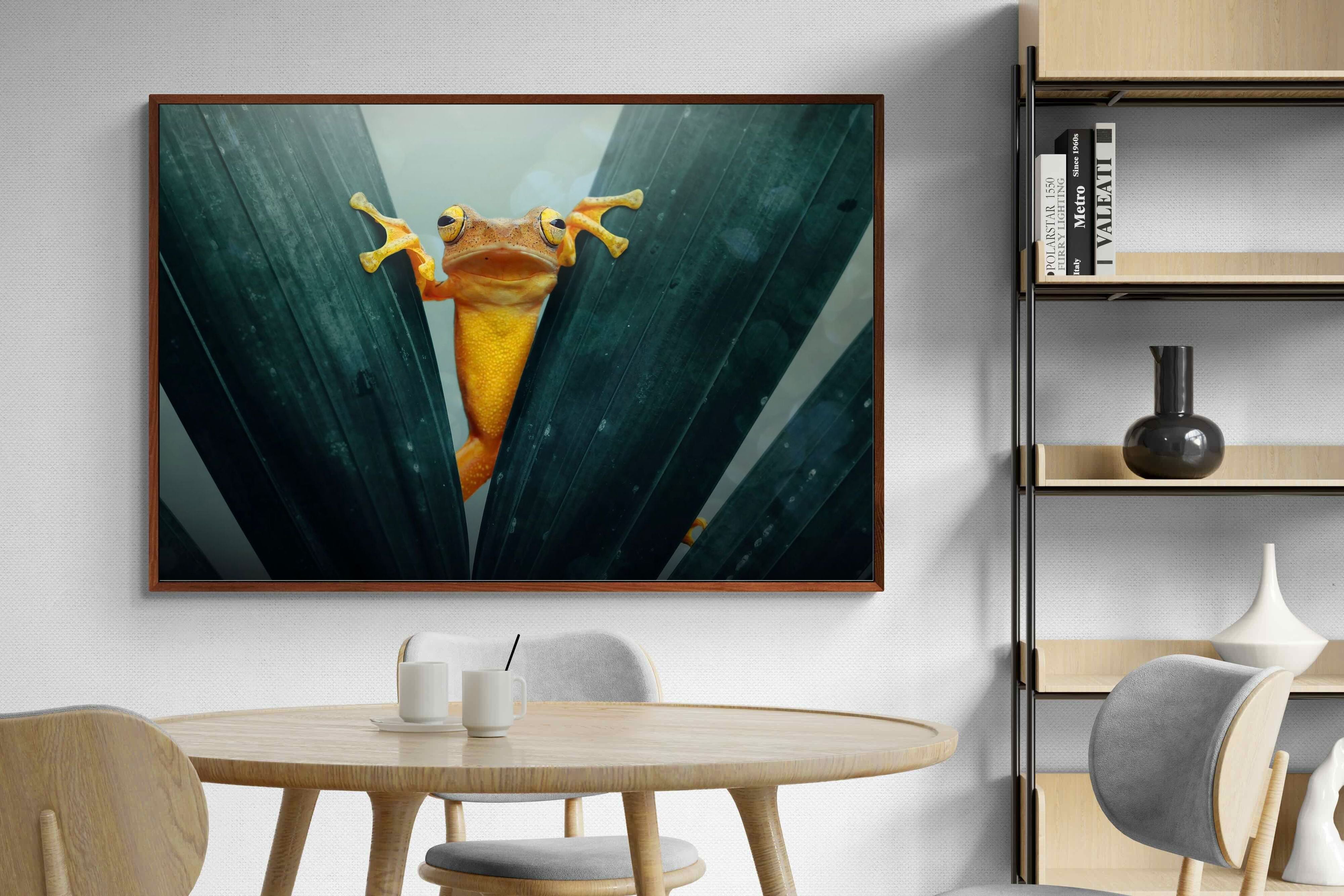 Pixalot Curious Jungle Frog