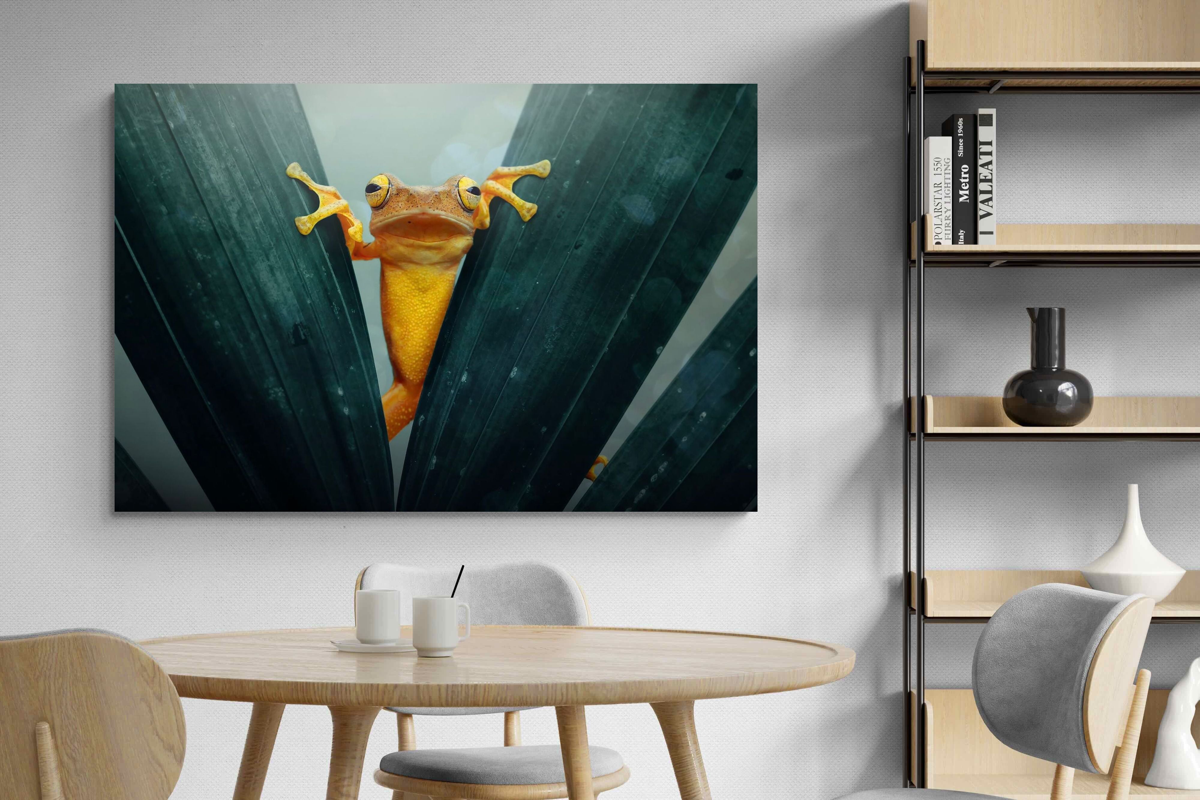 Pixalot Curious Jungle Frog