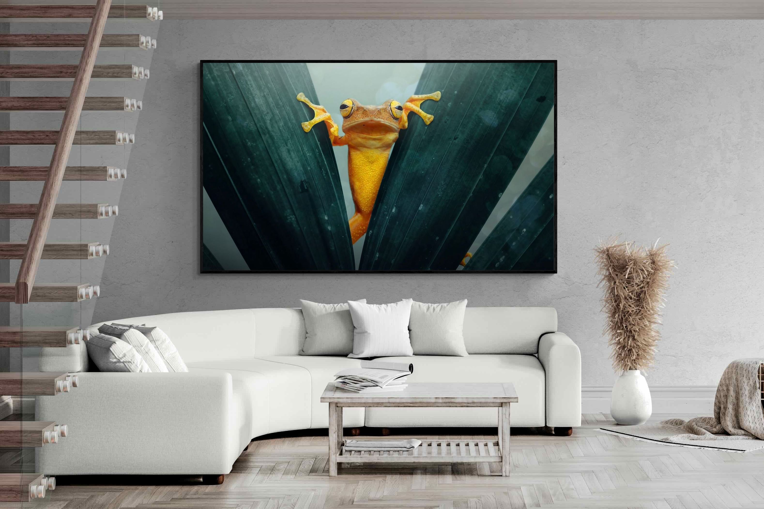 Pixalot Curious Jungle Frog