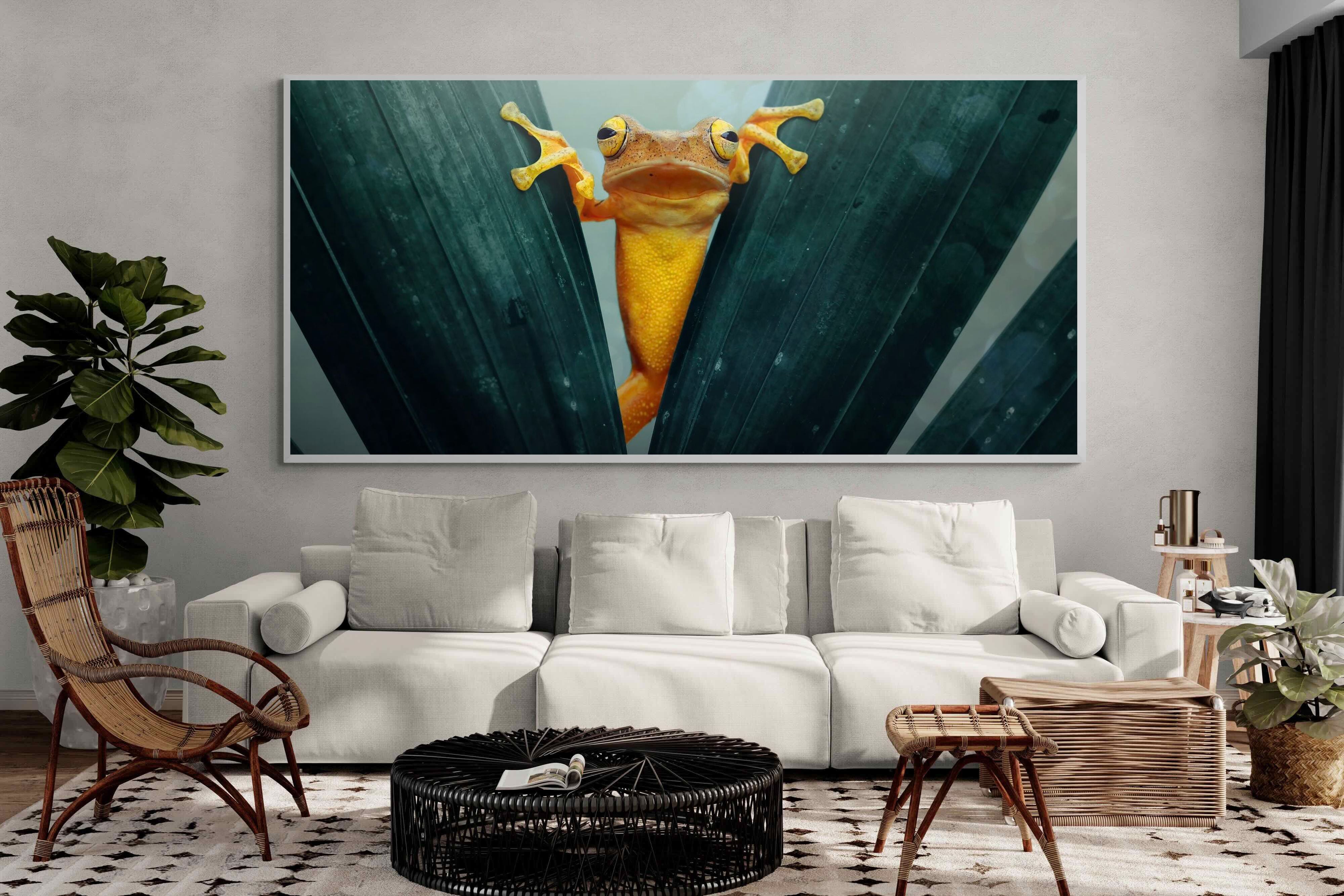 Pixalot Curious Jungle Frog