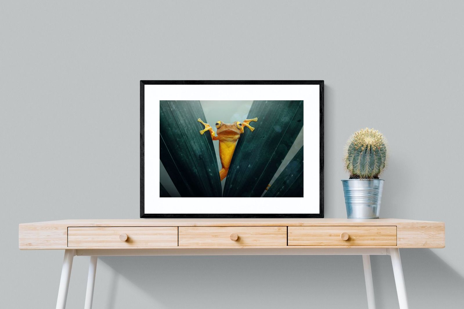 Pixalot Curious Jungle Frog