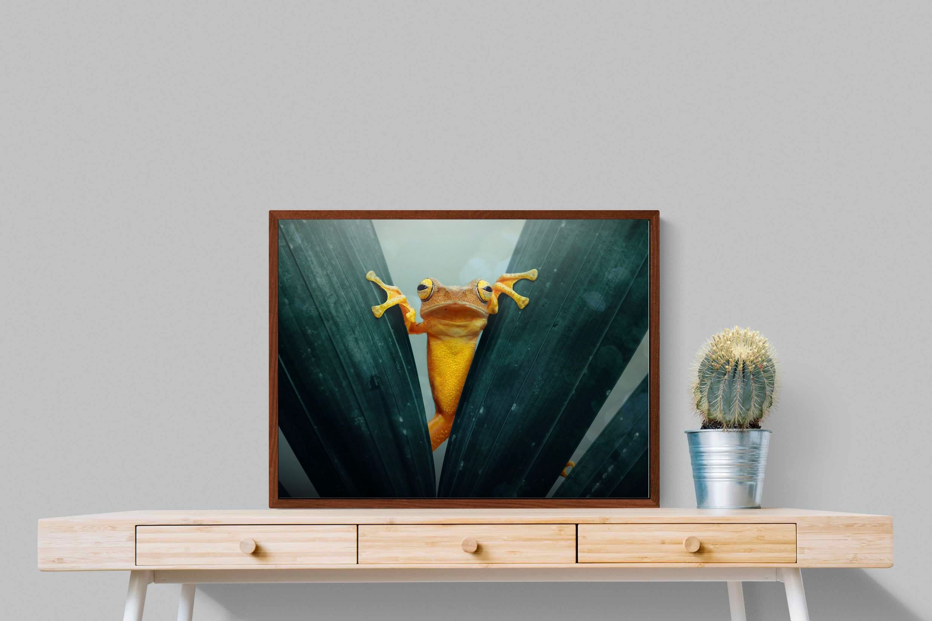 Pixalot Curious Jungle Frog