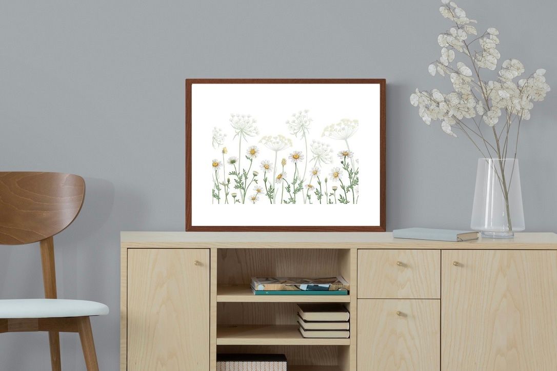 Pixalot ® Dazzling Daisies (White)