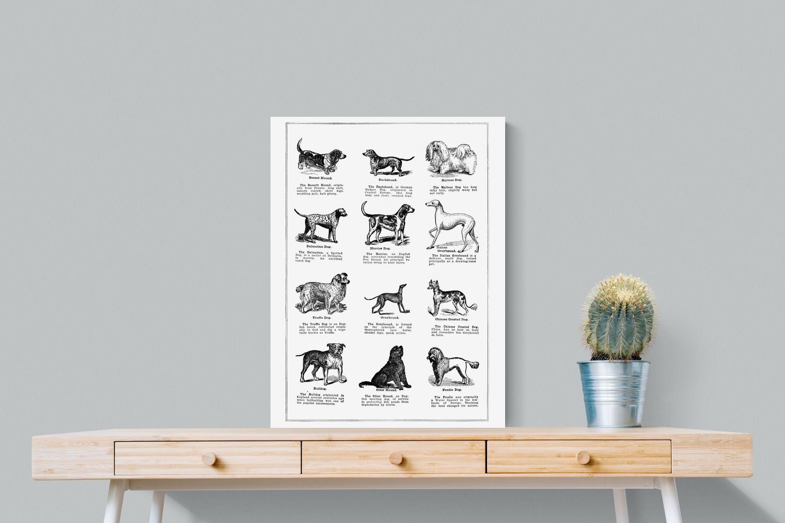 Pixalot Dog Breeds