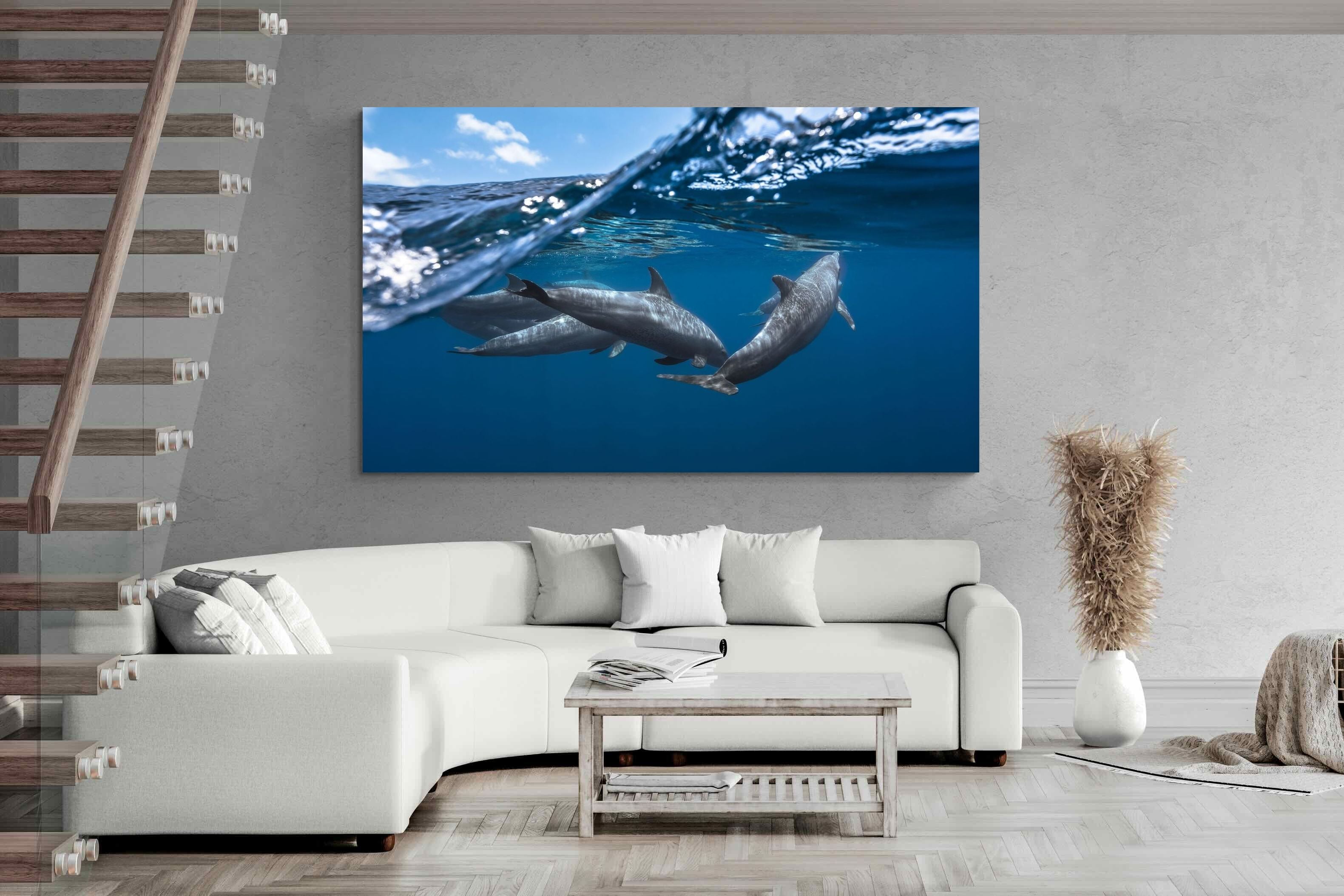 Pixalot Dolphin Trio