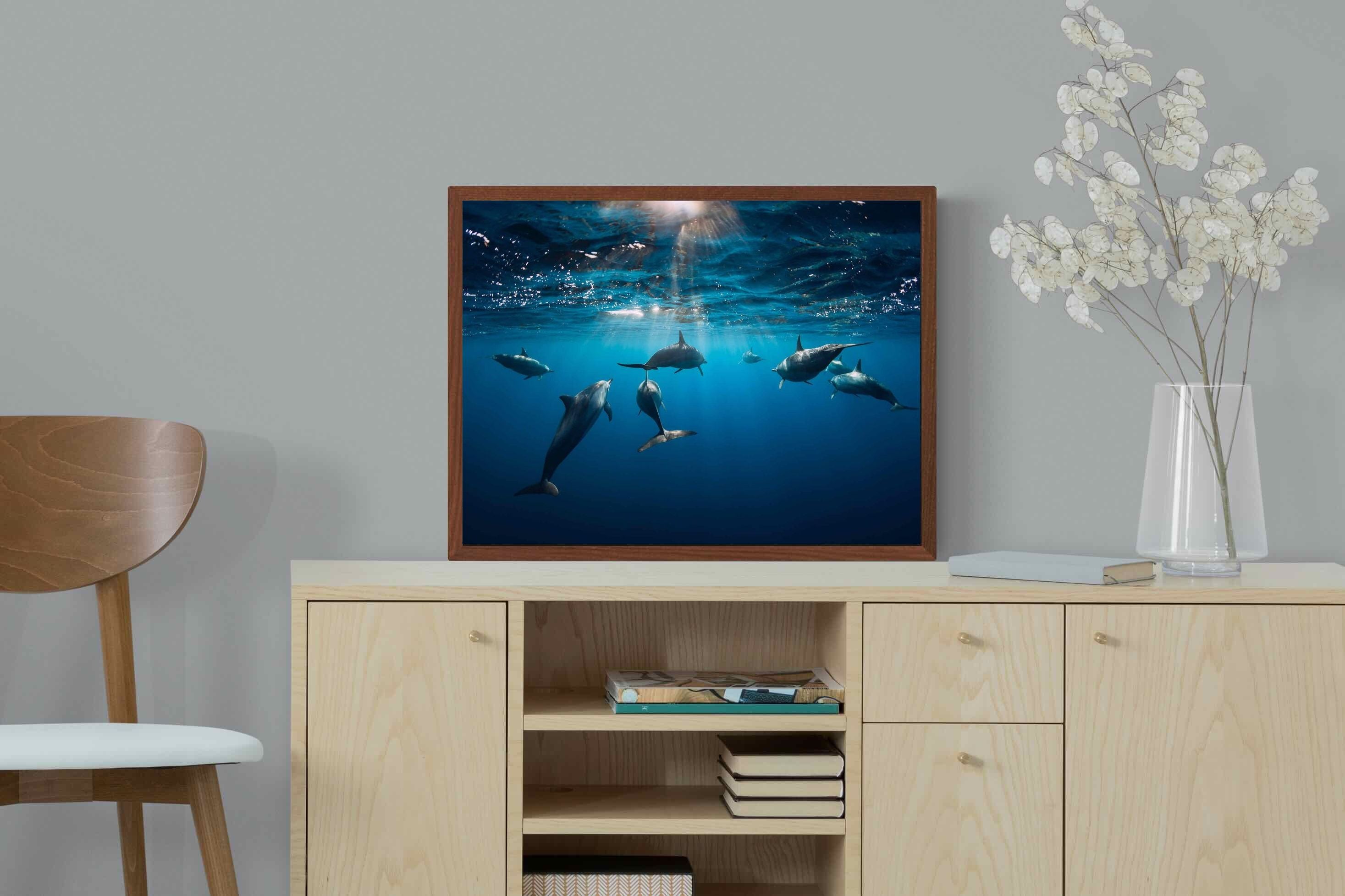 Pixalot ® Dolphins