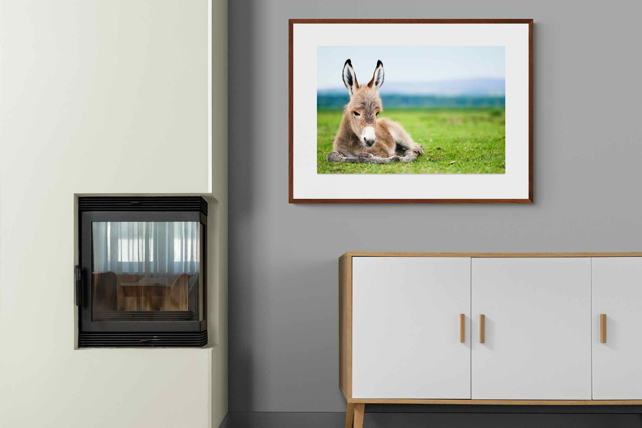 Pixalot ® Donkey Foal