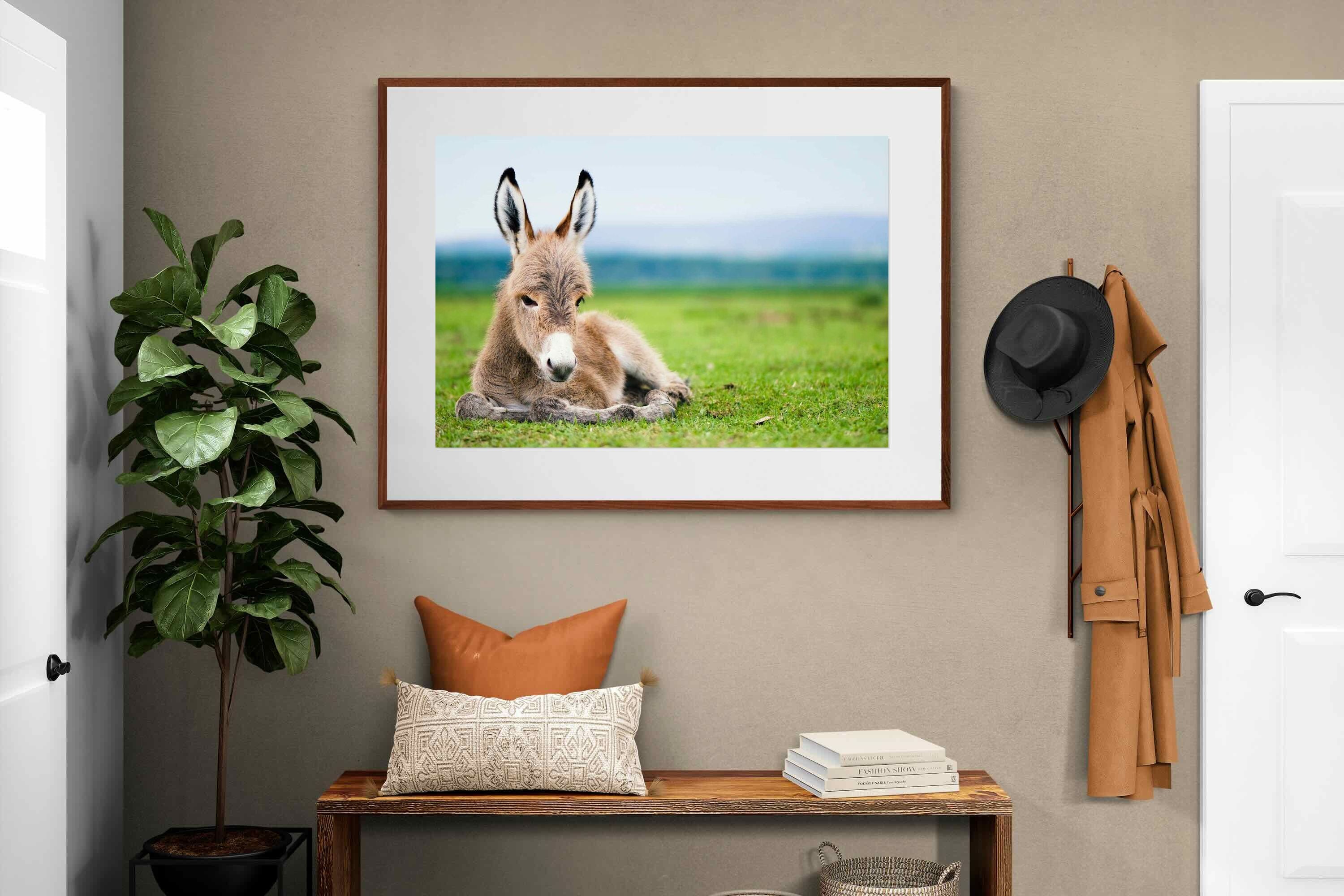 Pixalot ® Donkey Foal