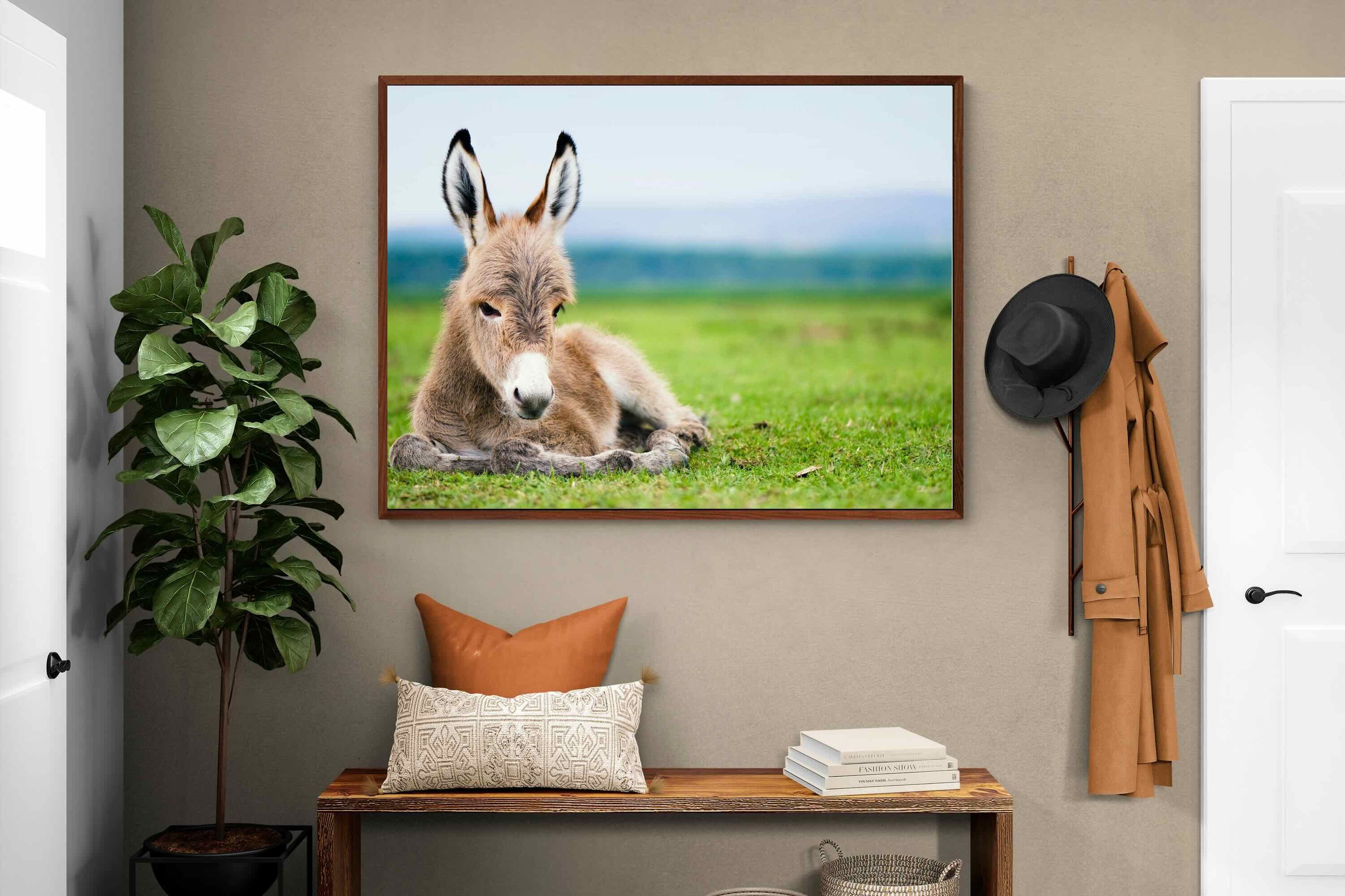 Pixalot ® Donkey Foal