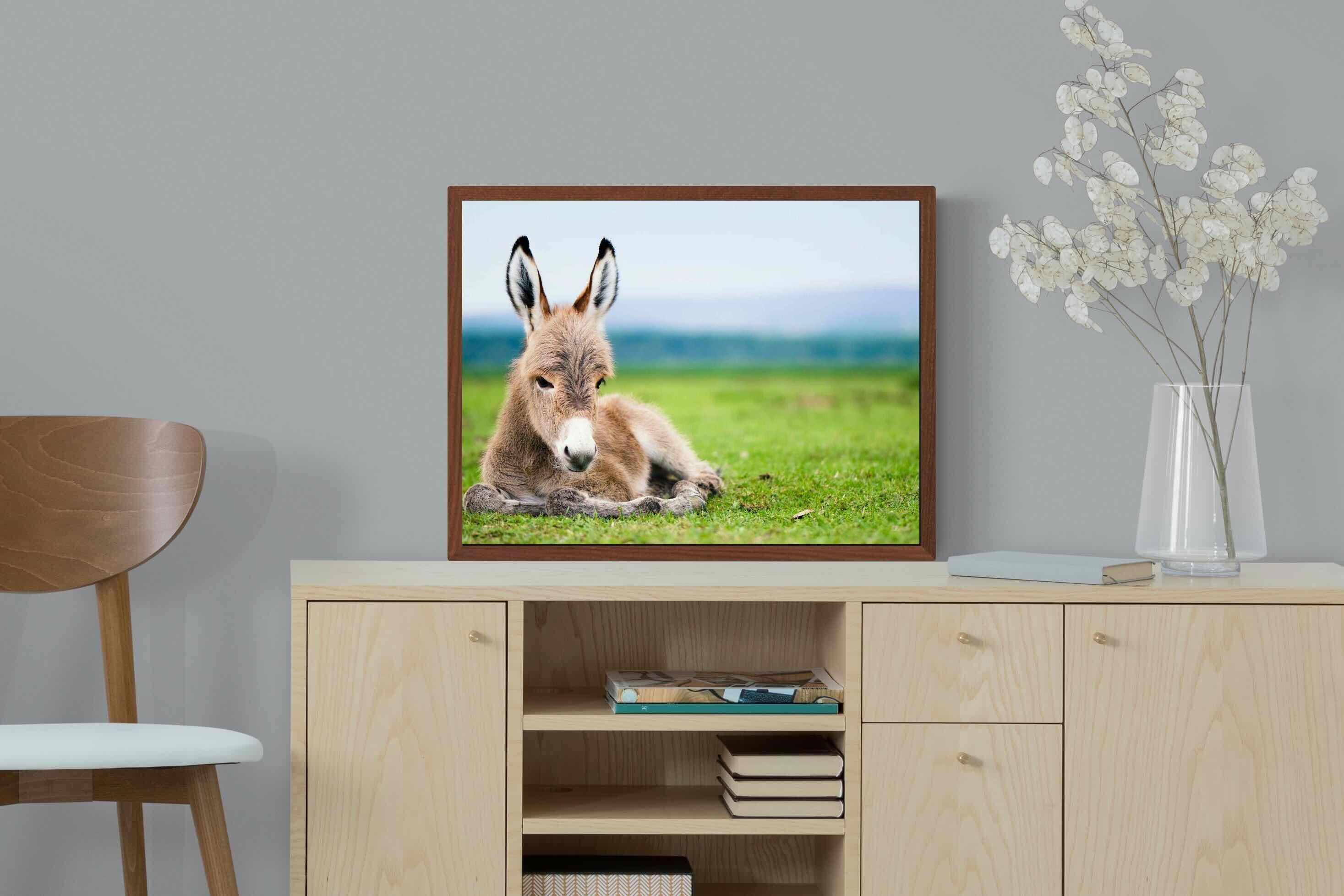 Pixalot ® Donkey Foal