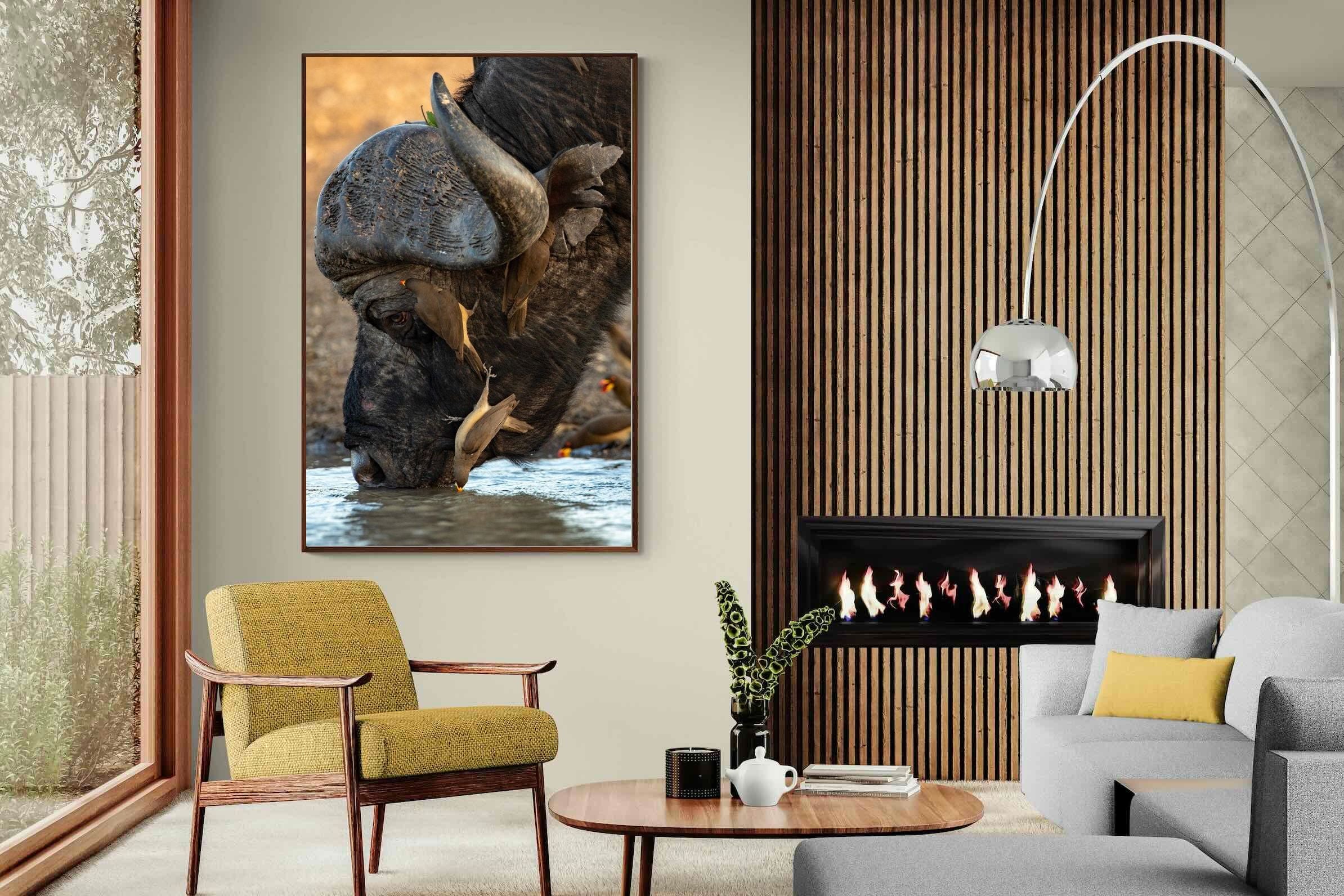 Pixalot Drinking Buffalo