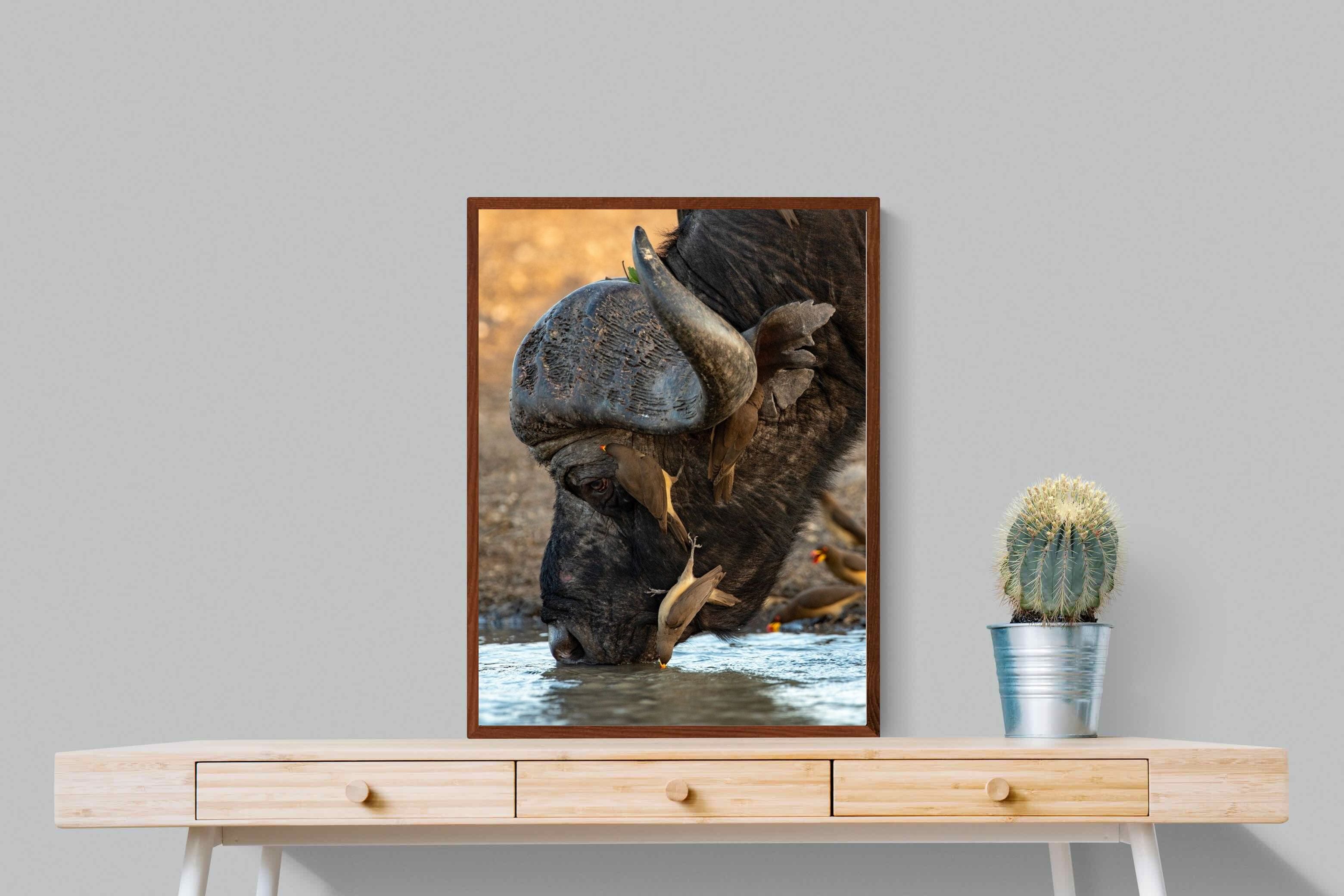 Pixalot Drinking Buffalo